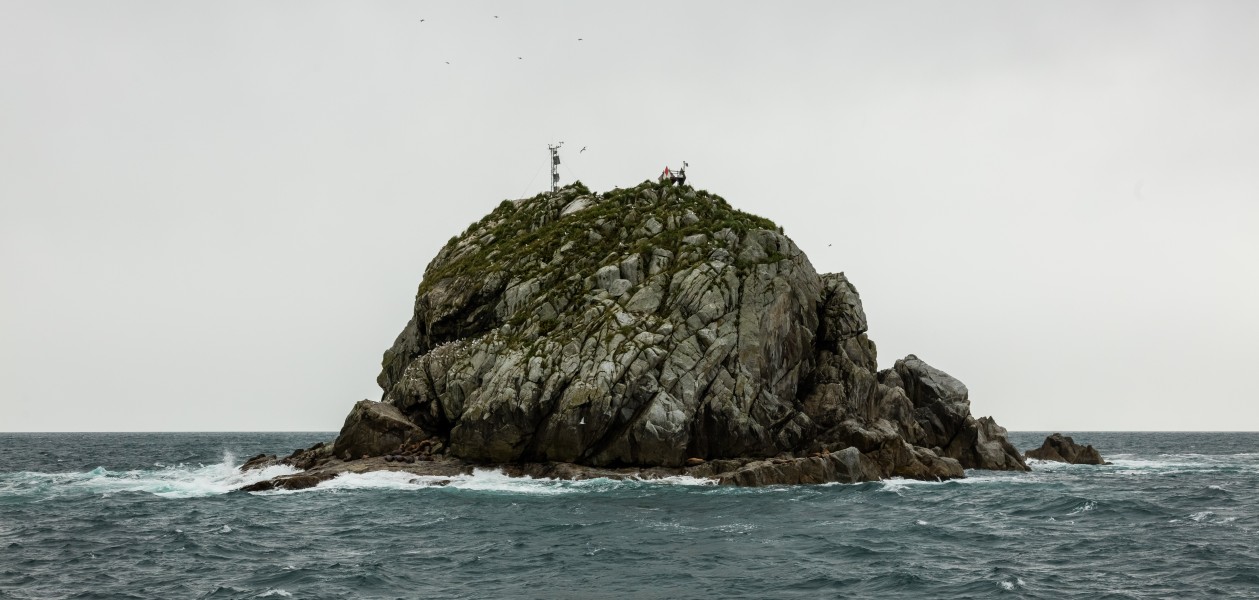 Bahía de la Resurección, Seward, Alaska, Estados Unidos, 2017-08-21, DD 16