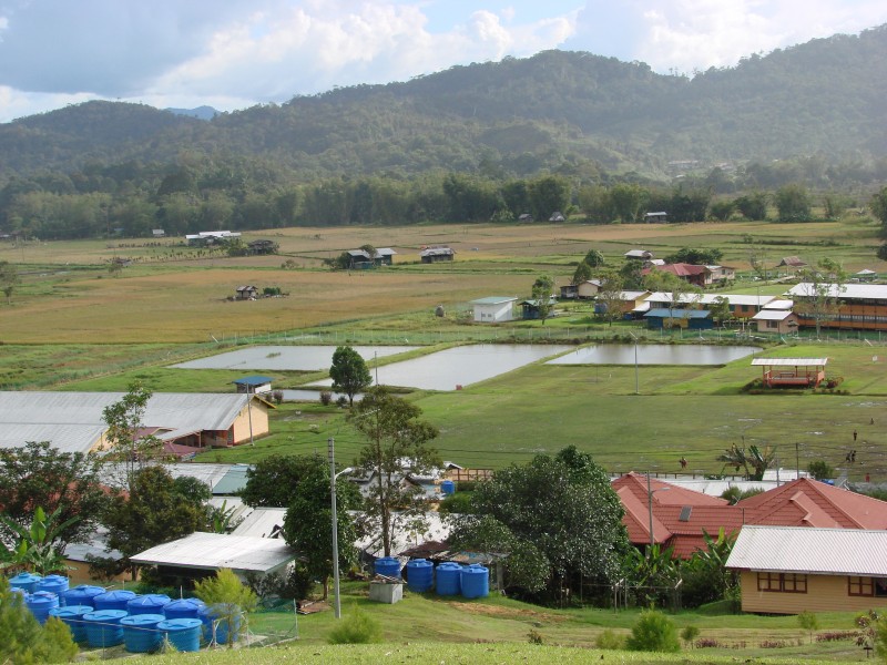 Bario, Malaysia (3275183697)