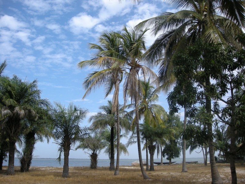 Carabane-Palmiers