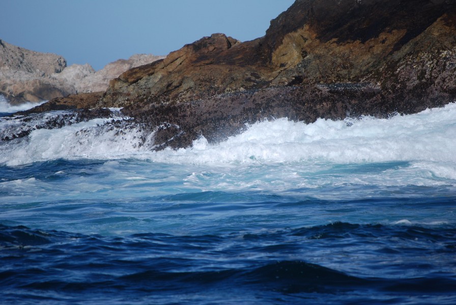 Farallon islands near San Francisco 06
