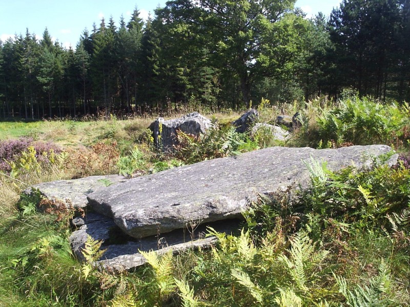 Gånggriften i Brattås, Röra sn på Orust, den 18 aug 2006, bild 2