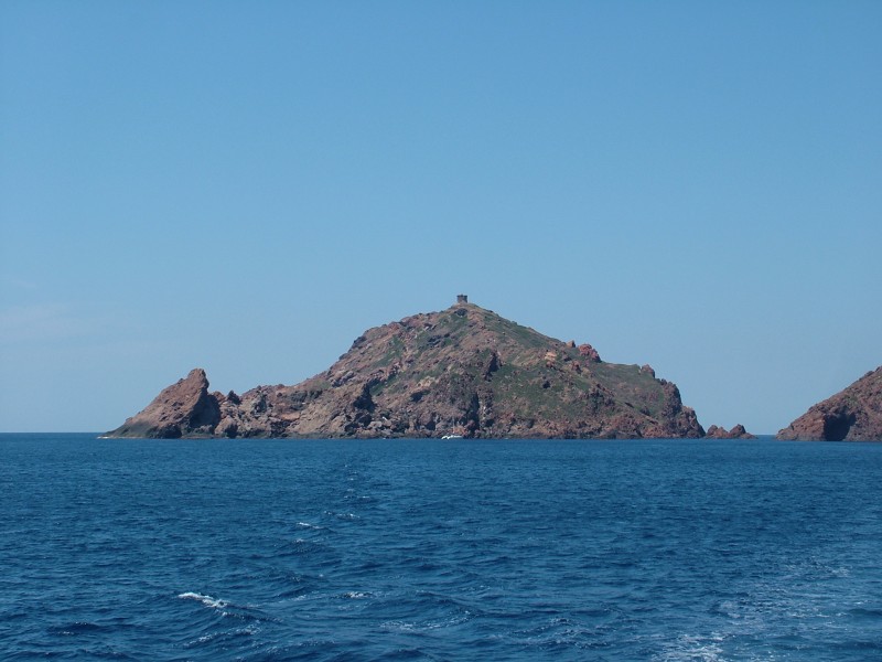 Gargalo