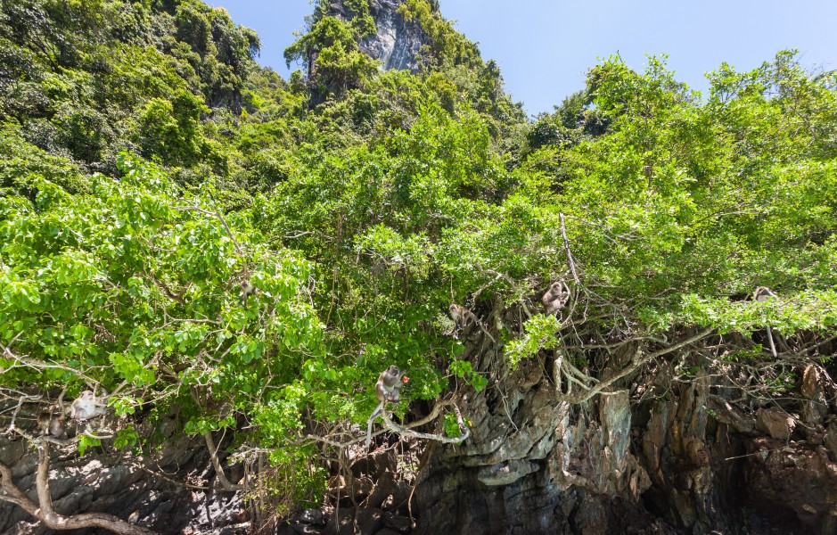Isla Phi Phi Lay, Tailandia, 2013-08-19, DD 17