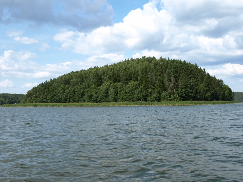 Kaisaari.Halikko