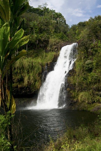 Kulaniapia Falls, Big Island