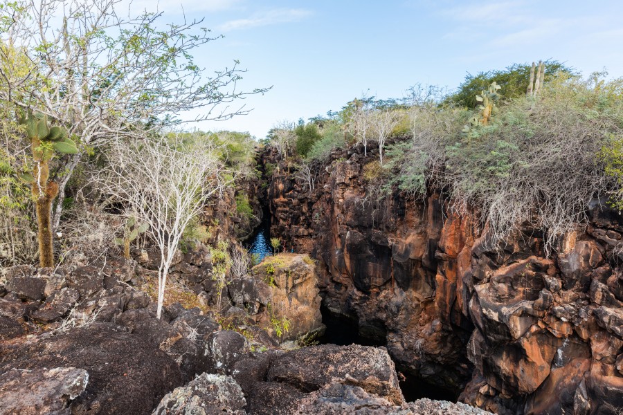 Las Grietas, isla Santa Cruz, islas Galápagos, Ecuador, 2015-07-26, DD 62