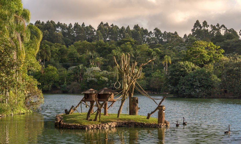 Monkey Island in São Paulo Zoo, Brazil