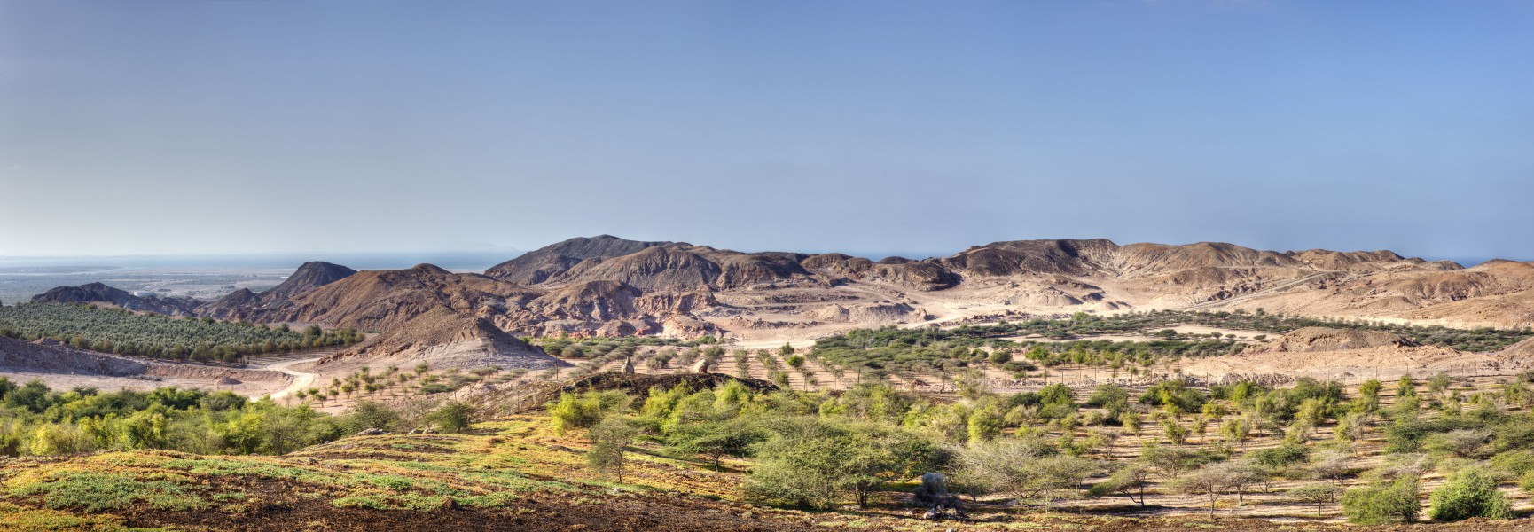 Sir Bani Yas Island Panorama