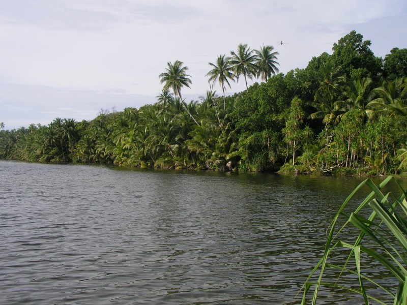Swains Island 3