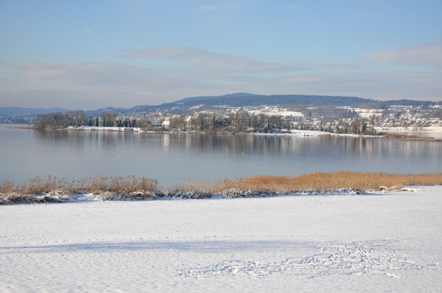 Ufenau - Pfannenstiel - Frauenwinkel 2010-12-18 14-42-22