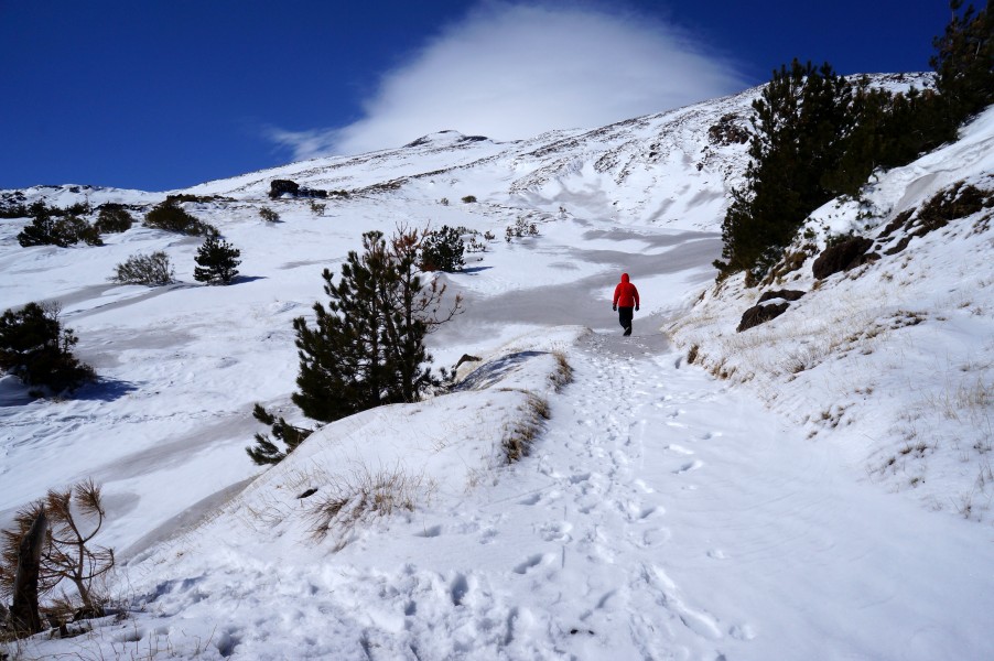 Walking to the top (8581691570)