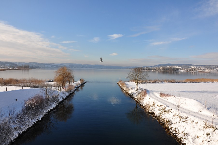Zürichsee - Hurden Kanalweg 2010-12-18 14-41-50