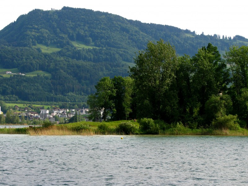 Zürichsee - Ufenau - Etzel IMG 2680