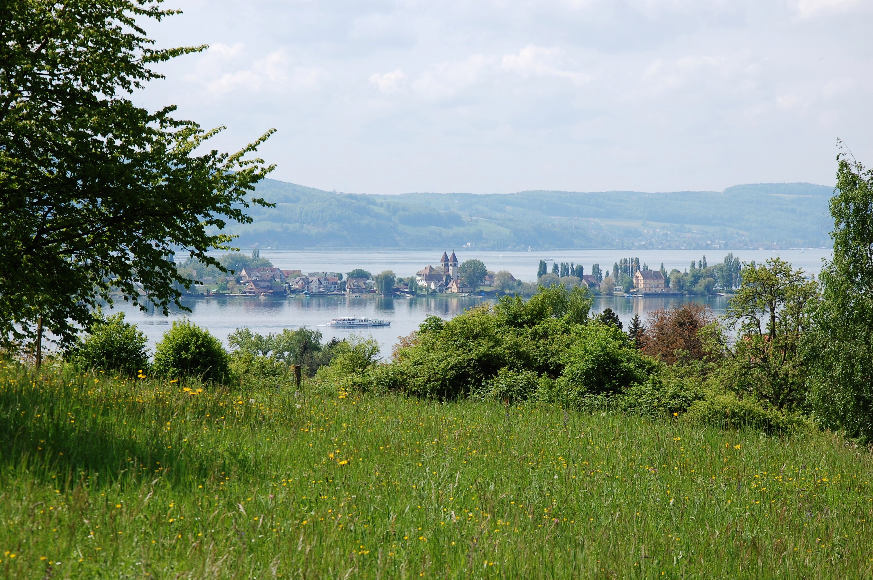 Reichenau