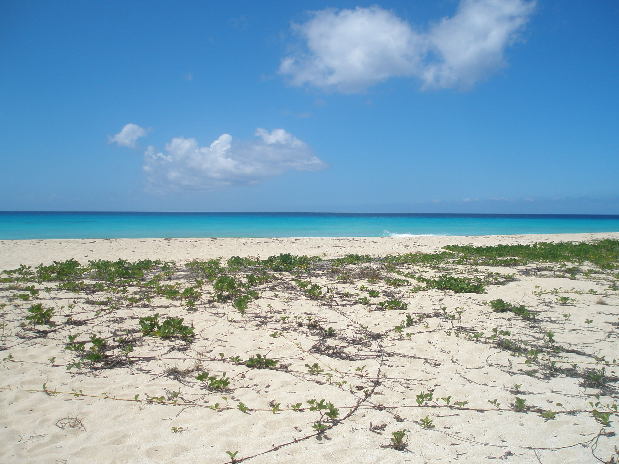 Sandy Point Wildlife Refuge beach