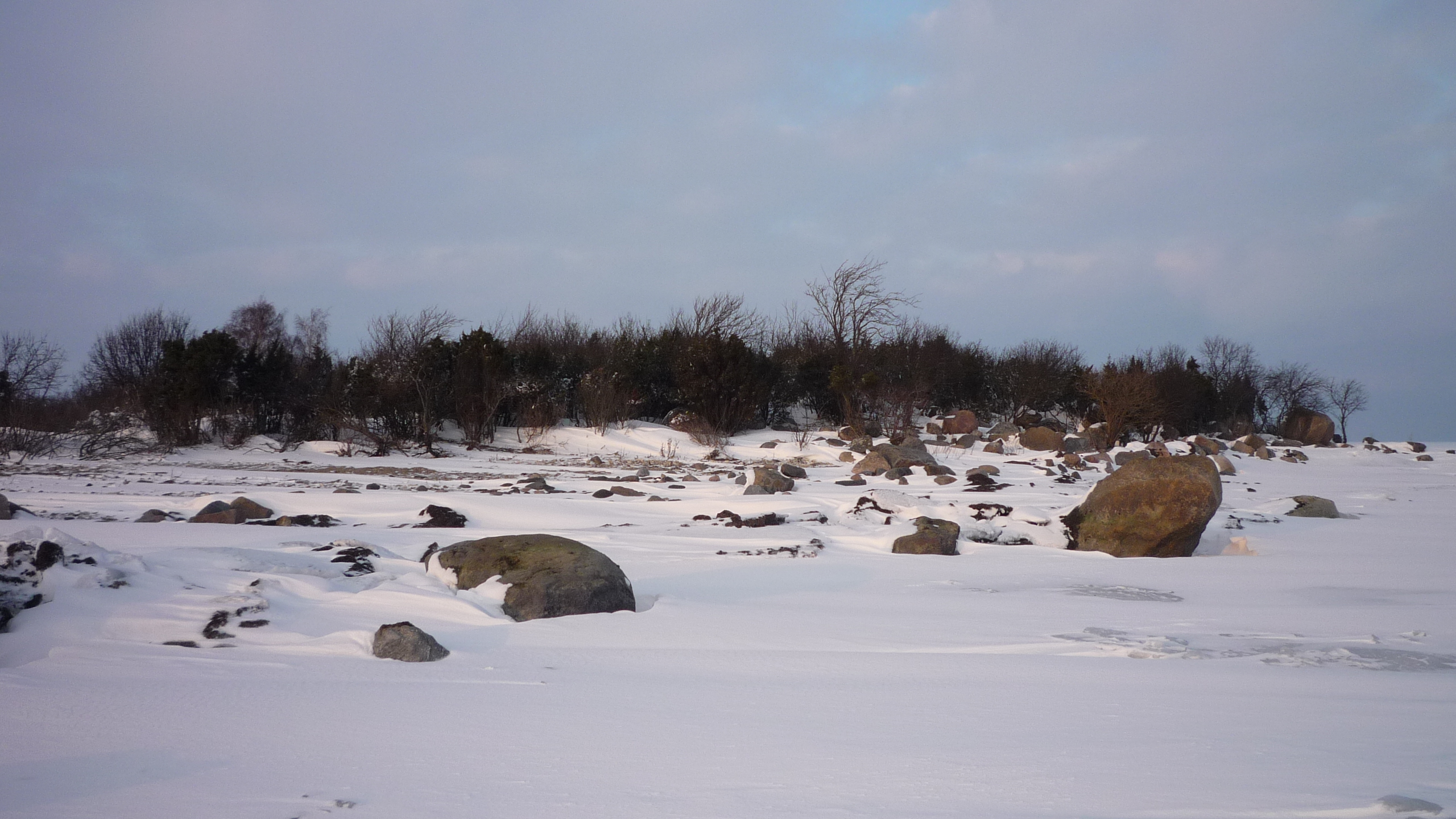 South coast of Kõrgelaid in winter