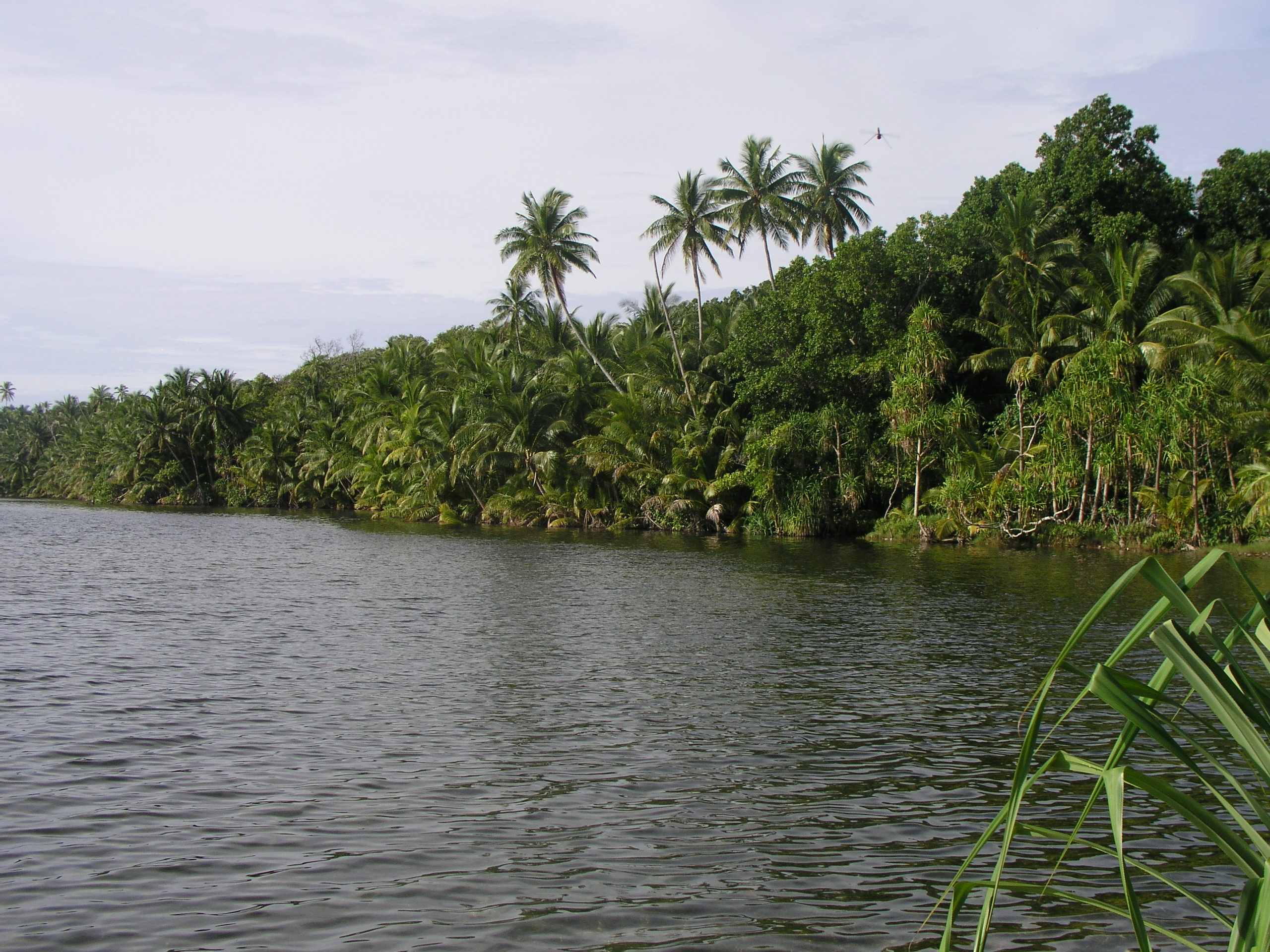 Swains Island 3