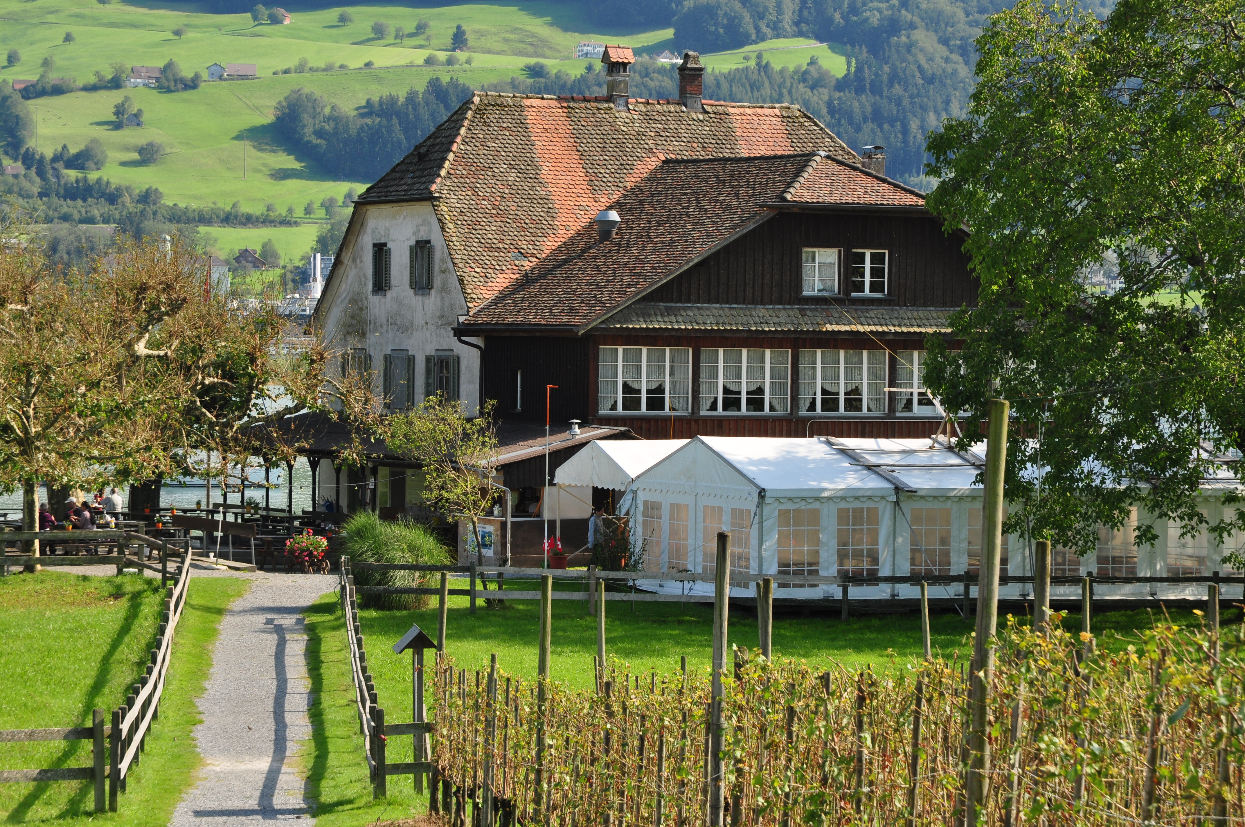 Ufenau IMG 0880