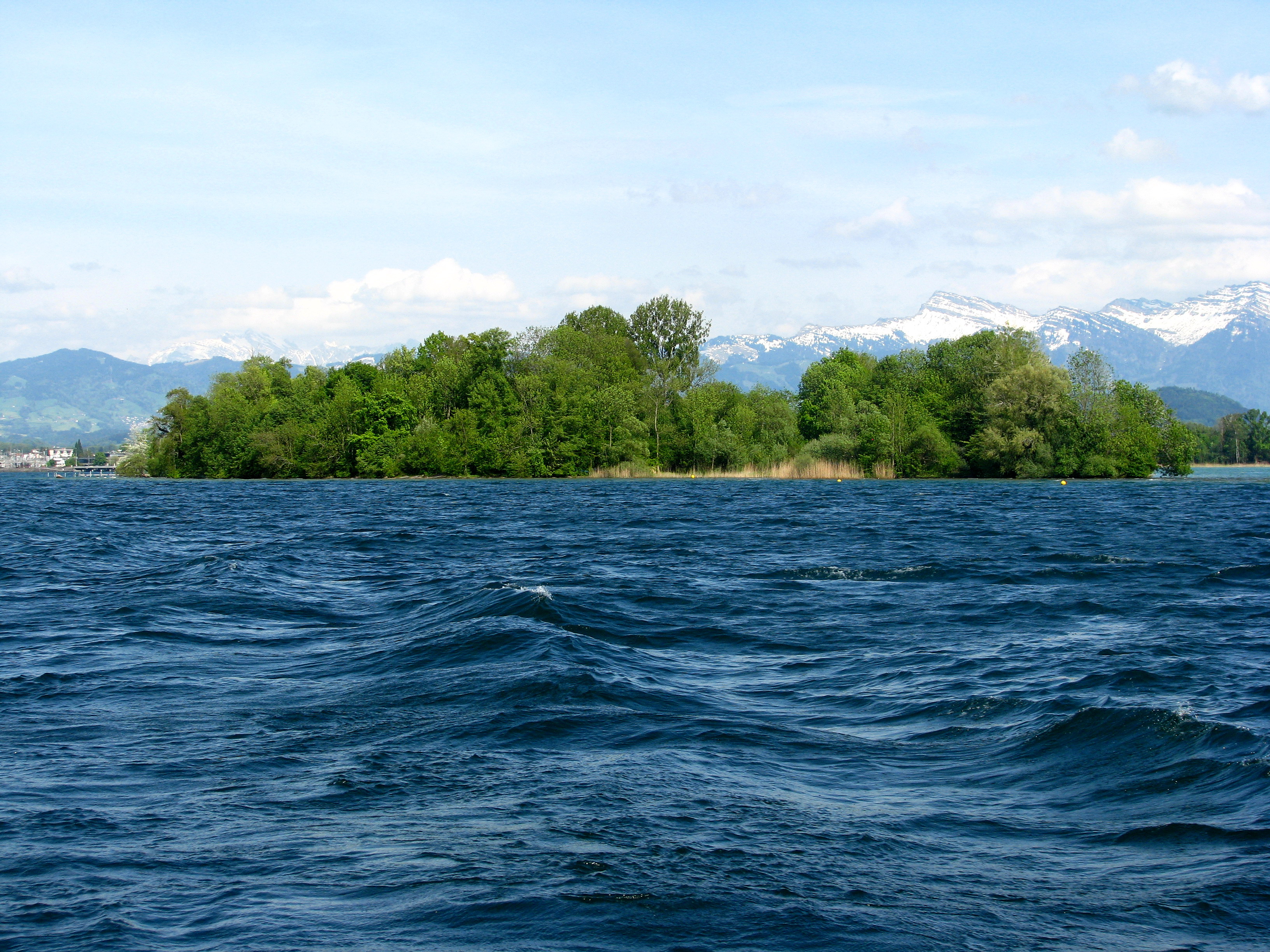 Zürichsee - Lützelau IMG 2556