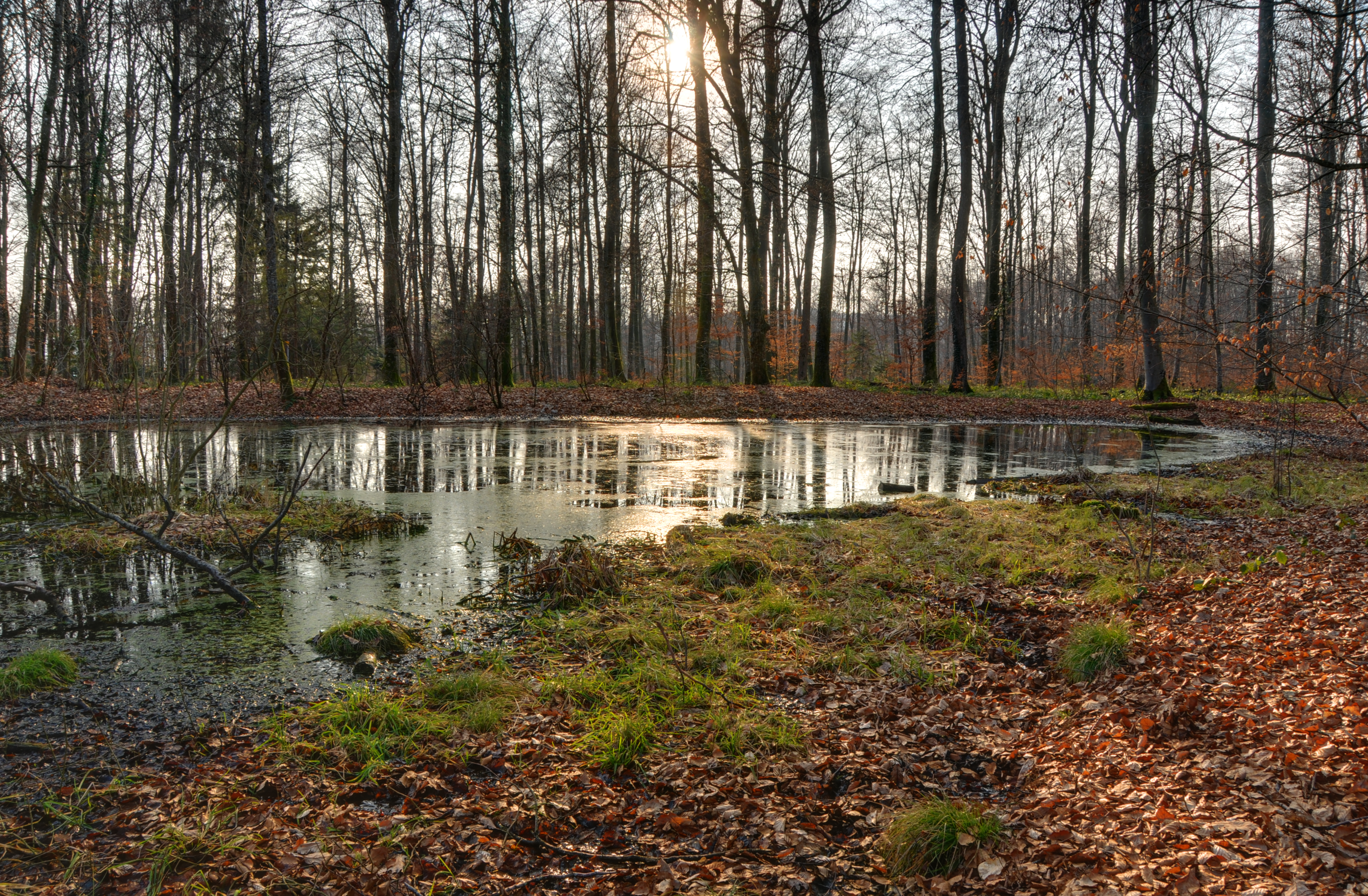 2011-02-13-lac-2