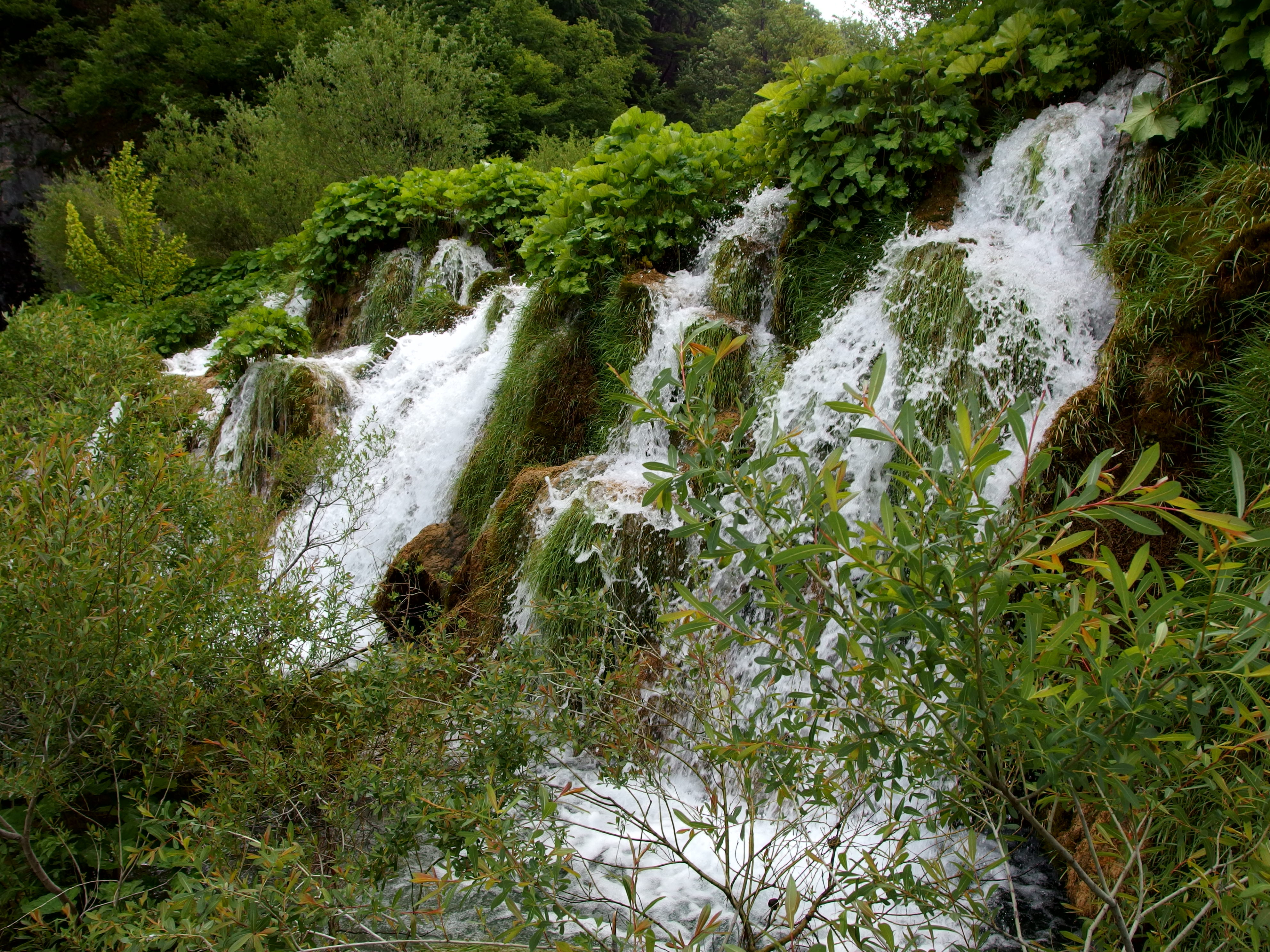20130608 Plitvice Lakes National Park 138