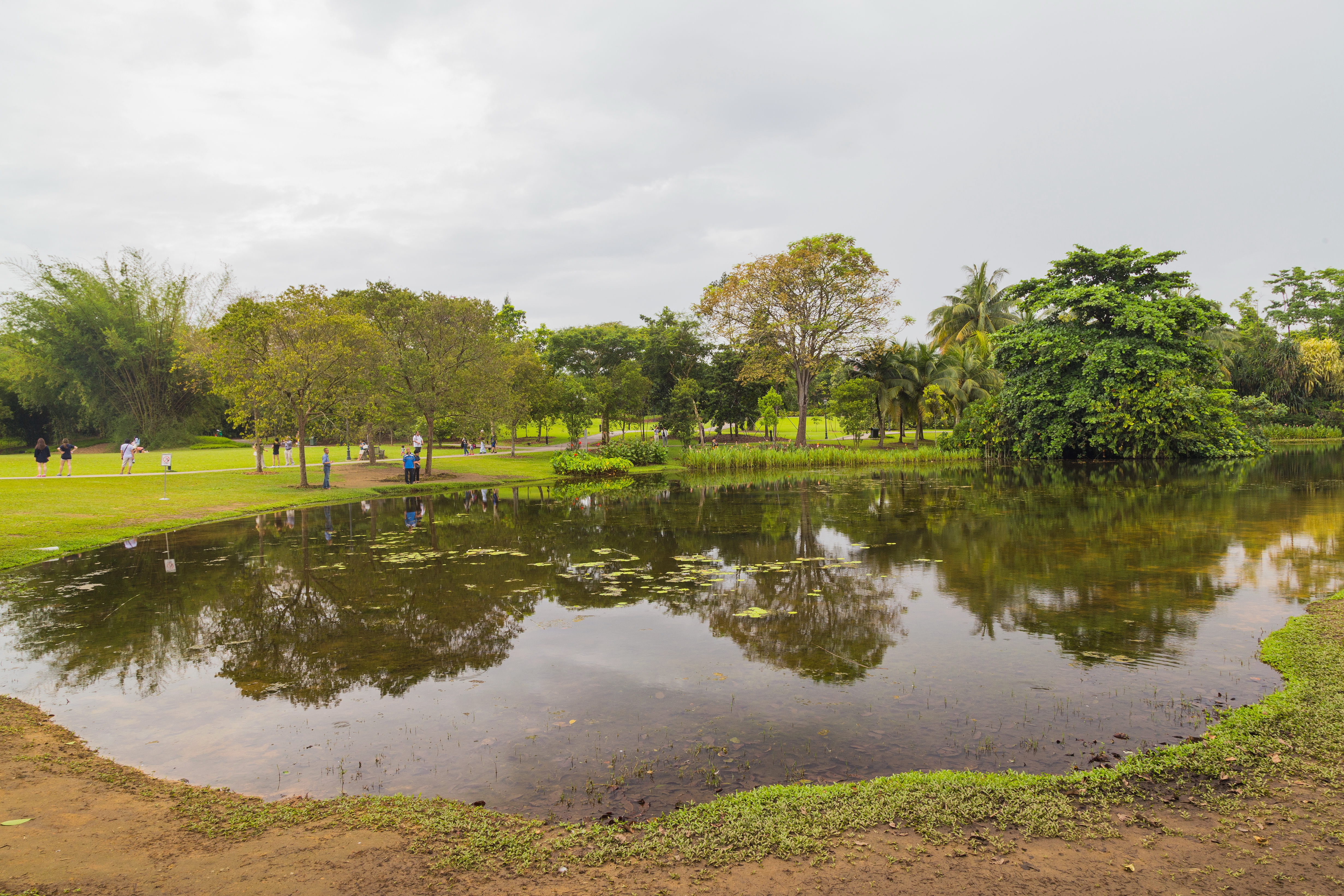 2016 Singapur, Ogrody botaniczne (025)
