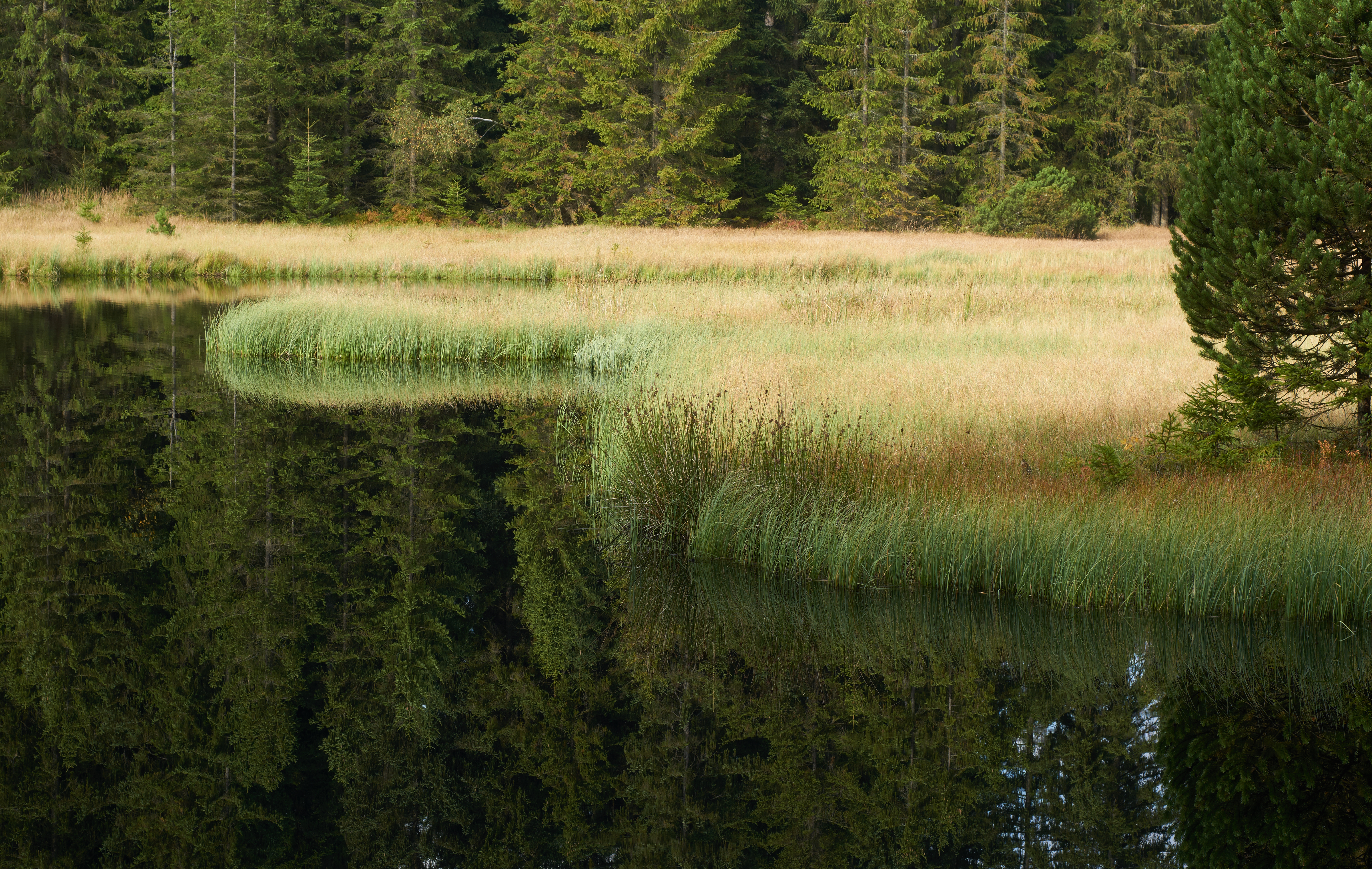 3287 Fichtelsee