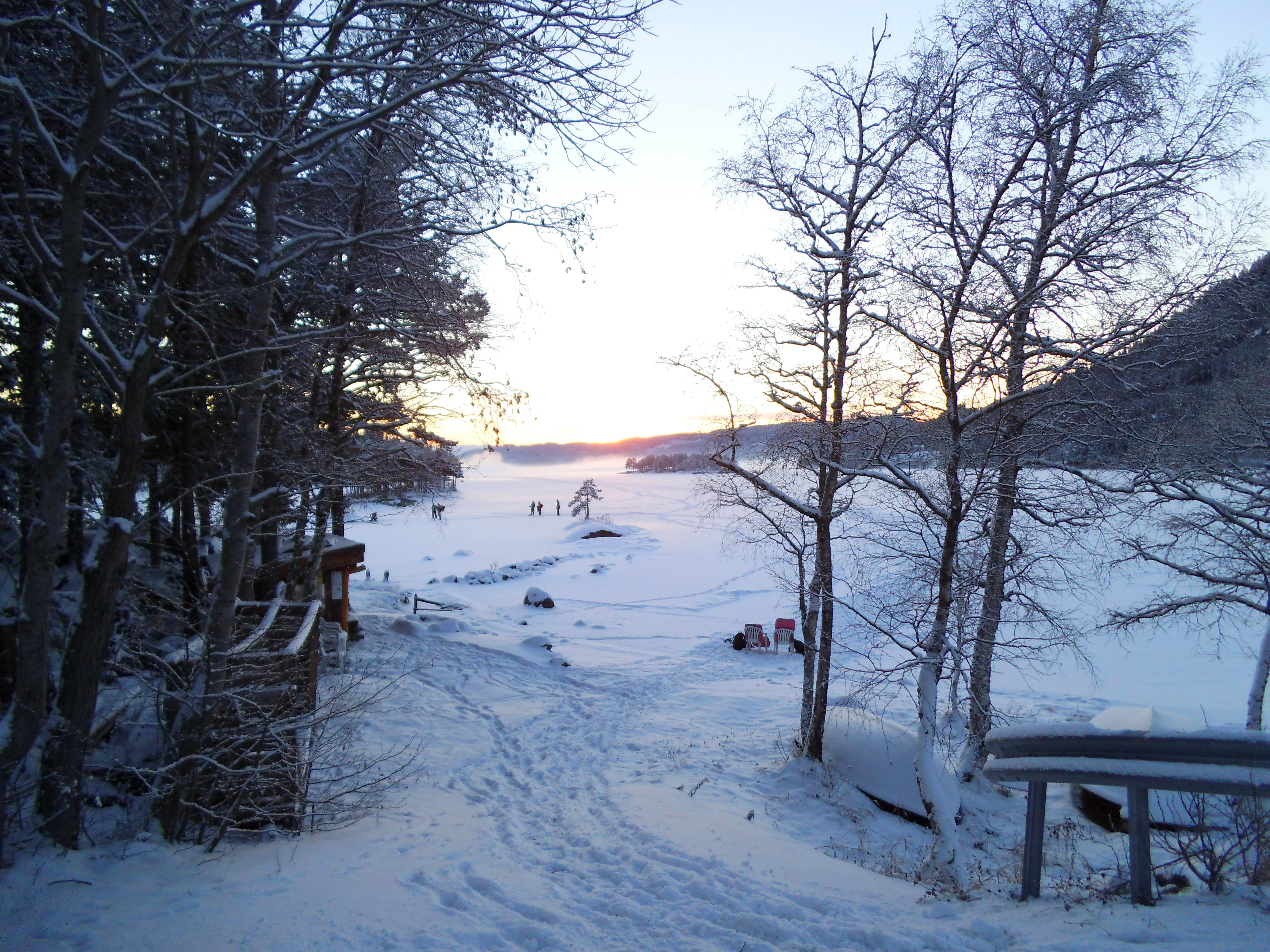 Ånøya in the winter (06)