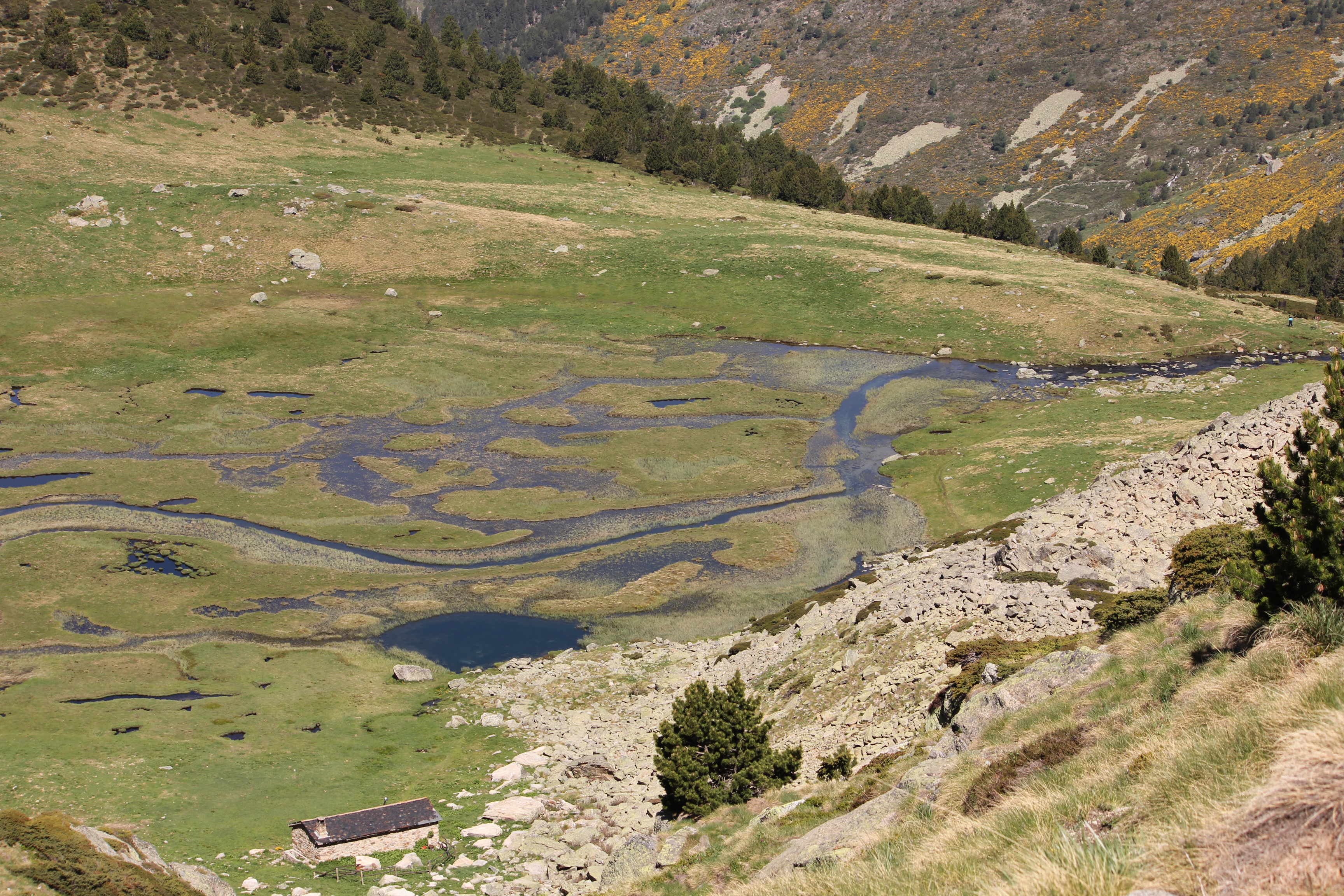 Basses del Siscaró - 1