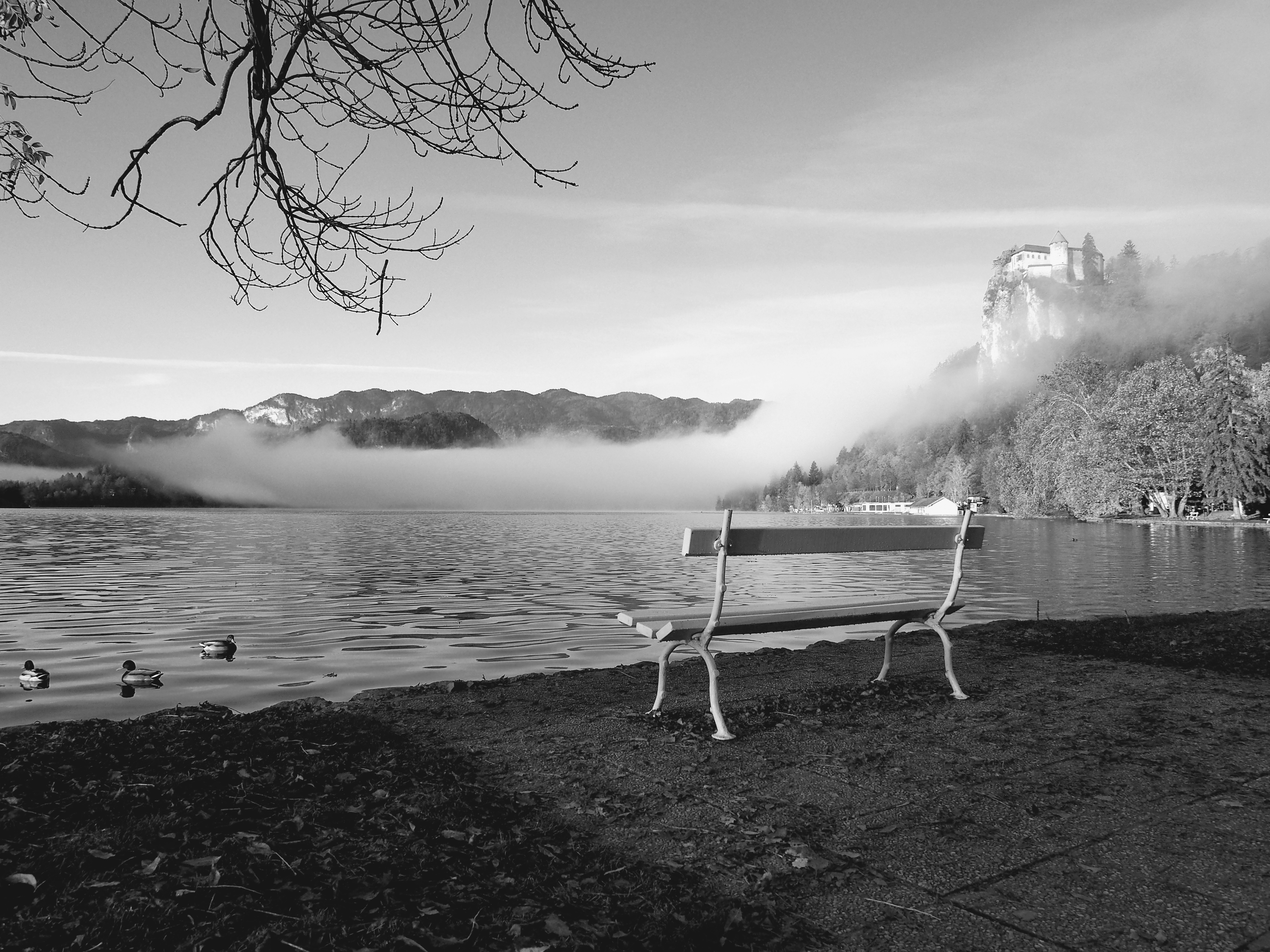 Bled (10507769404)