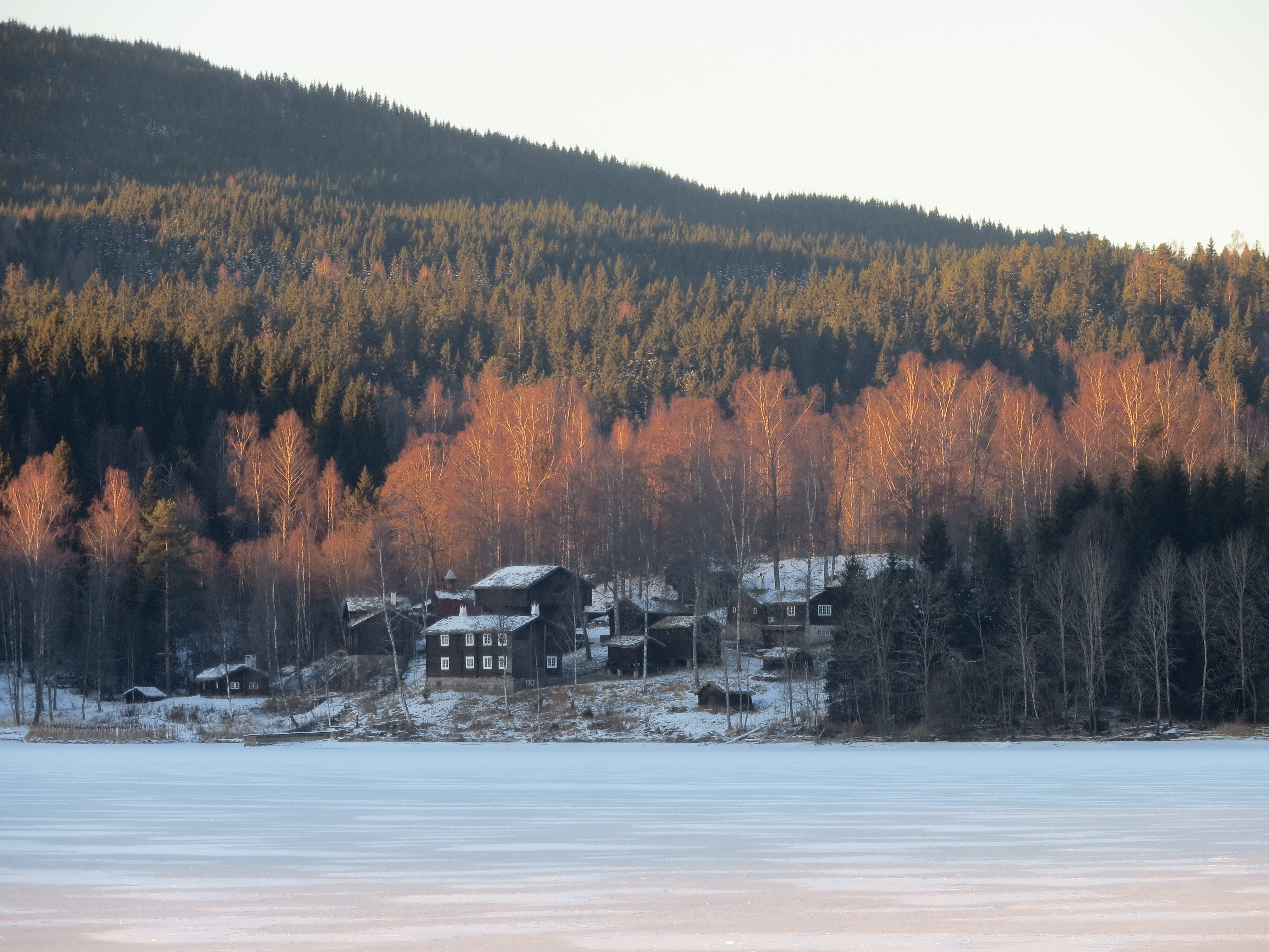 Bogstad IMG 4352 björnsgaard rk 86174