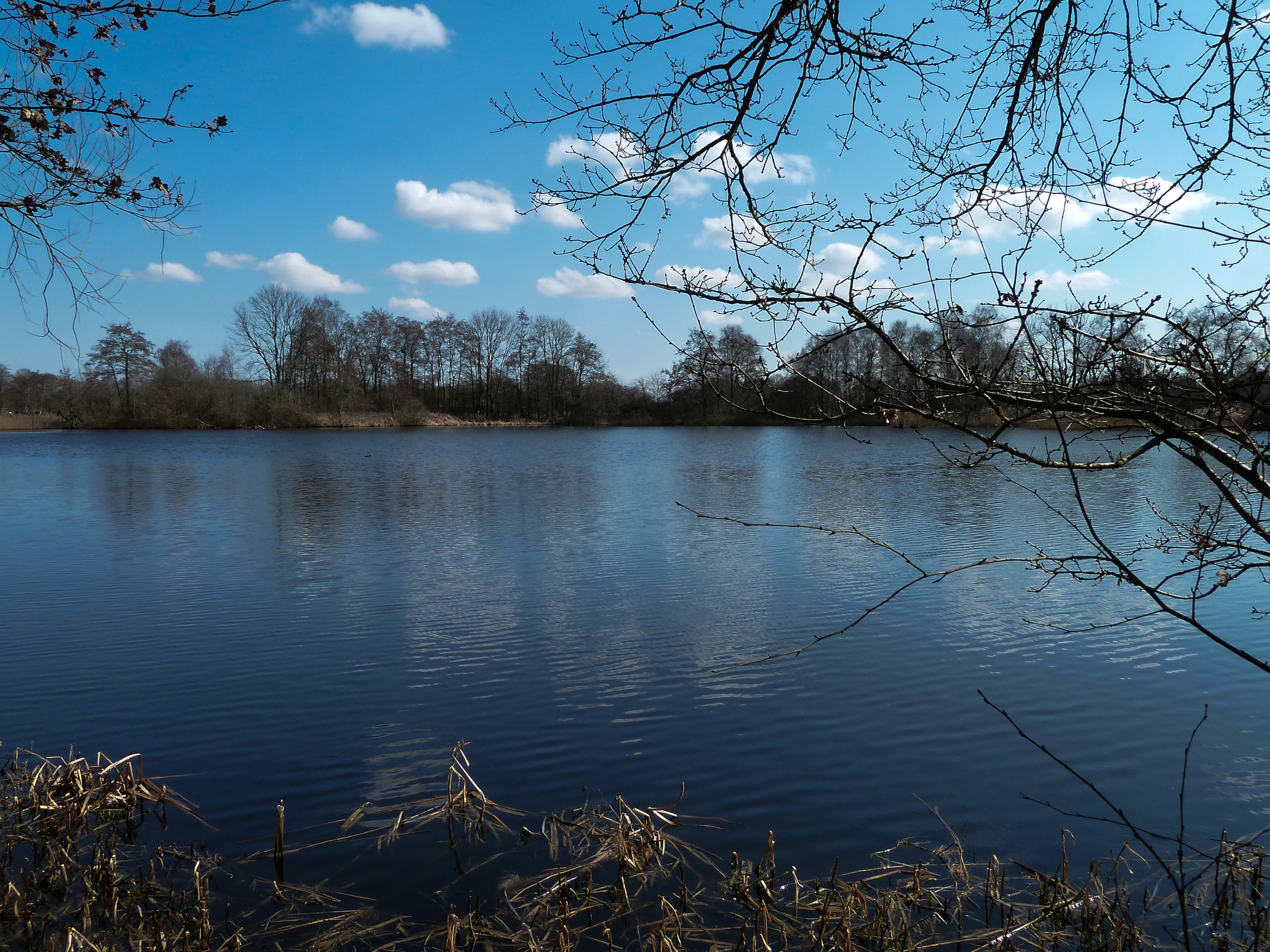 Bolmeer (1)