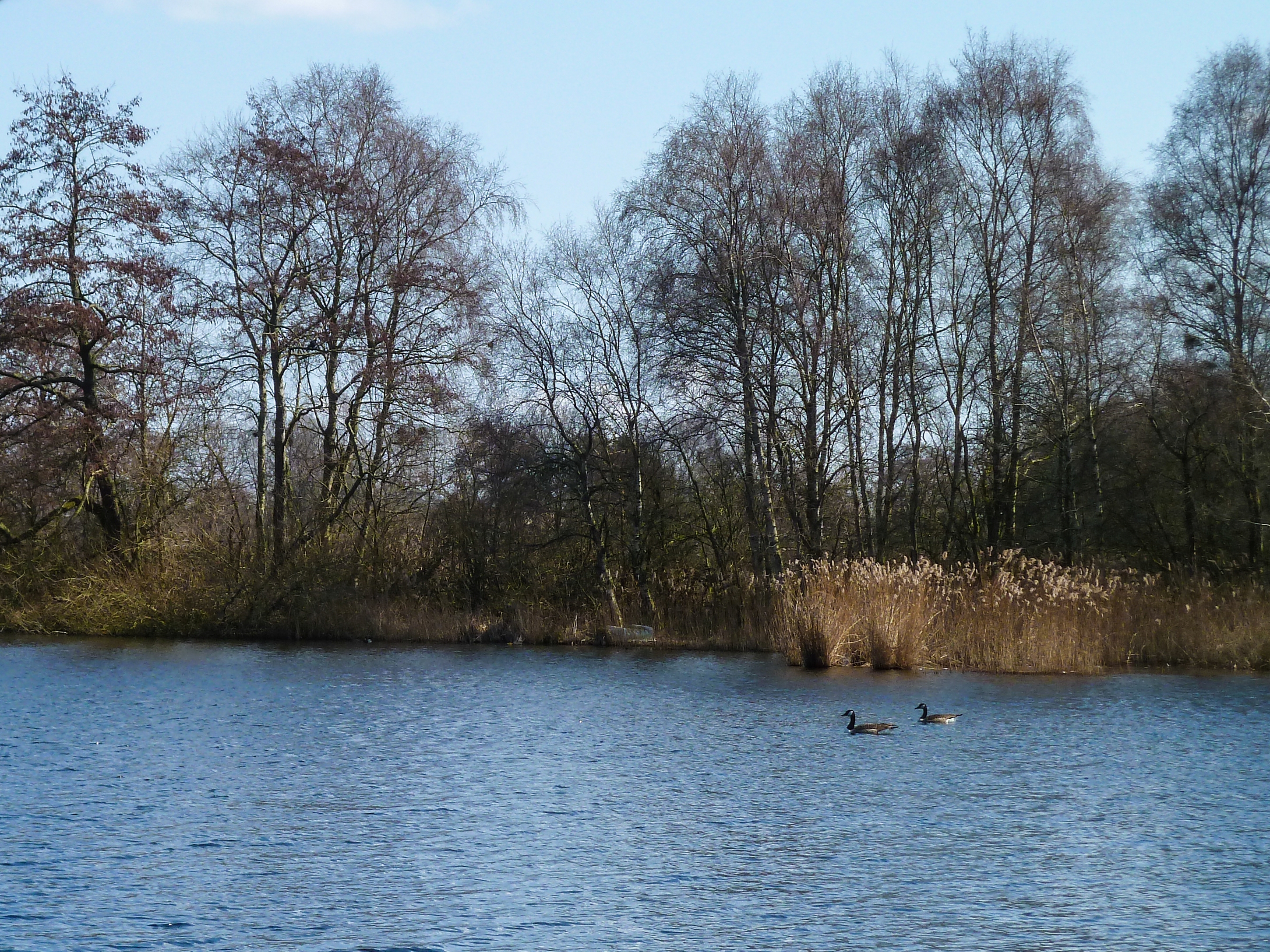 Bolmeer (4)