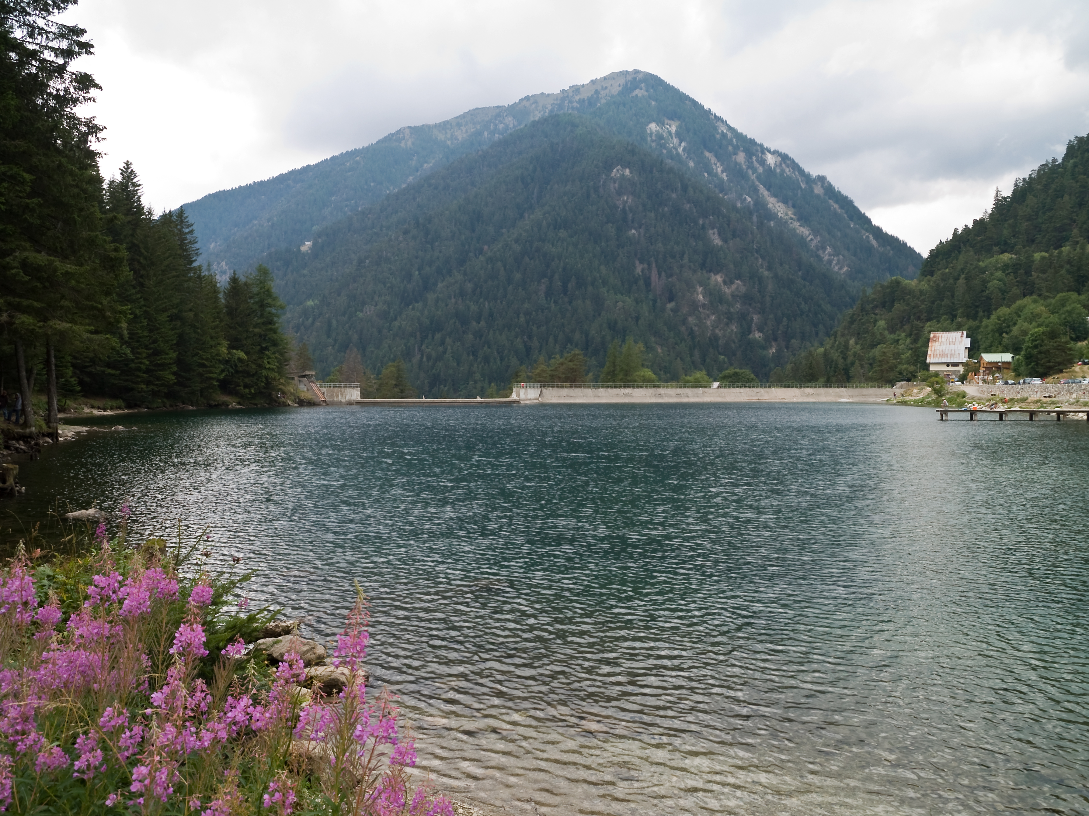 Boreon lac