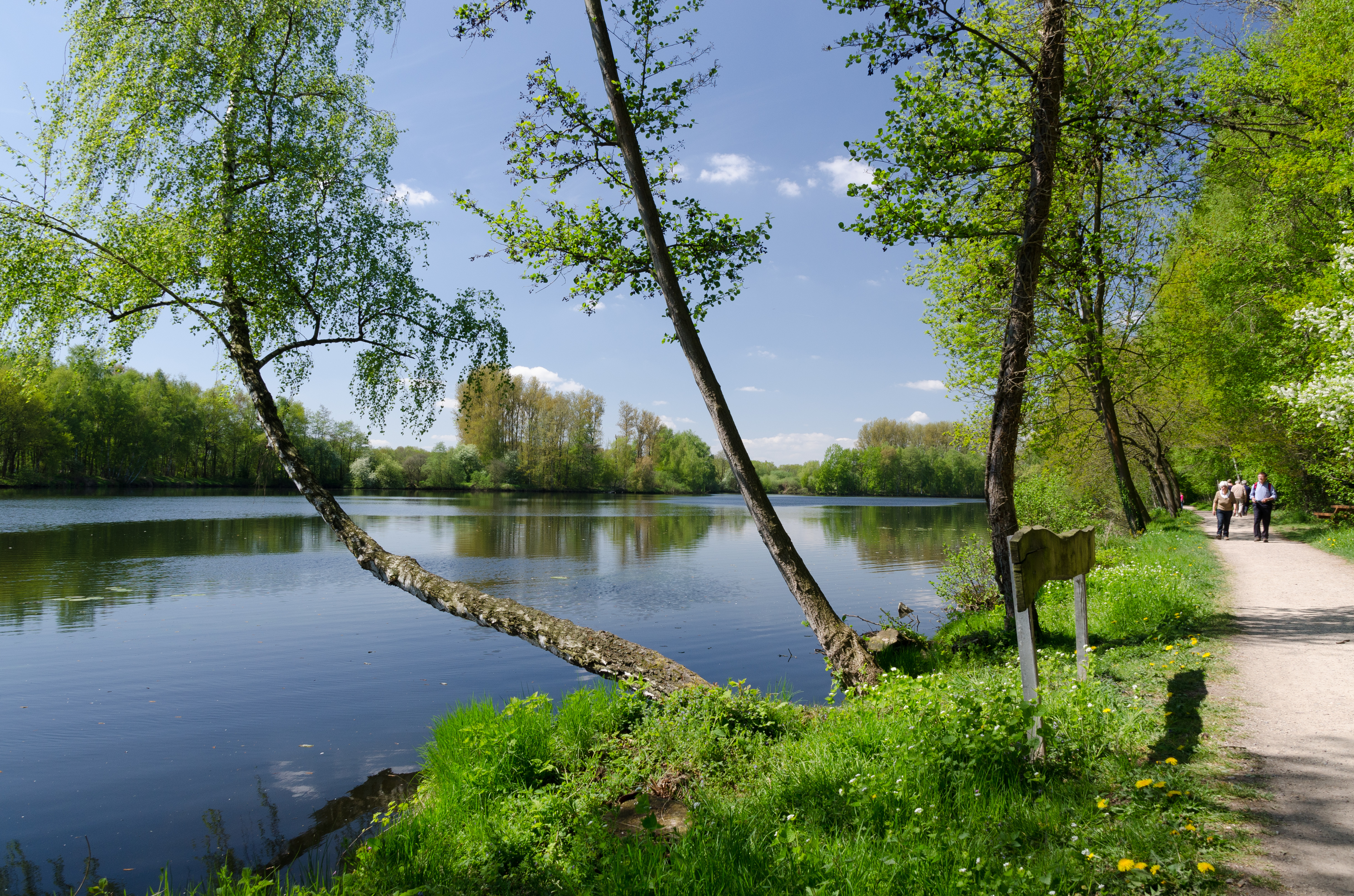 Borner-See-2013-01