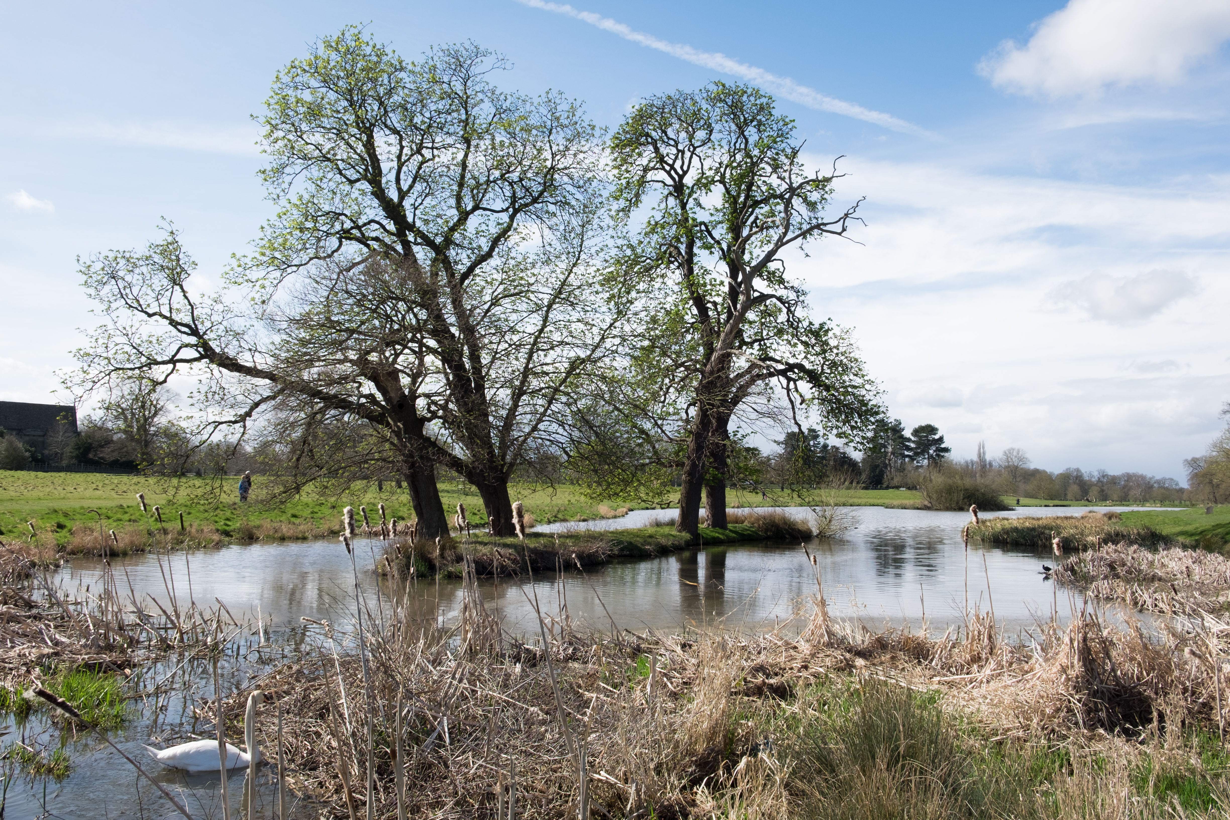 Charlecote Park - the lake