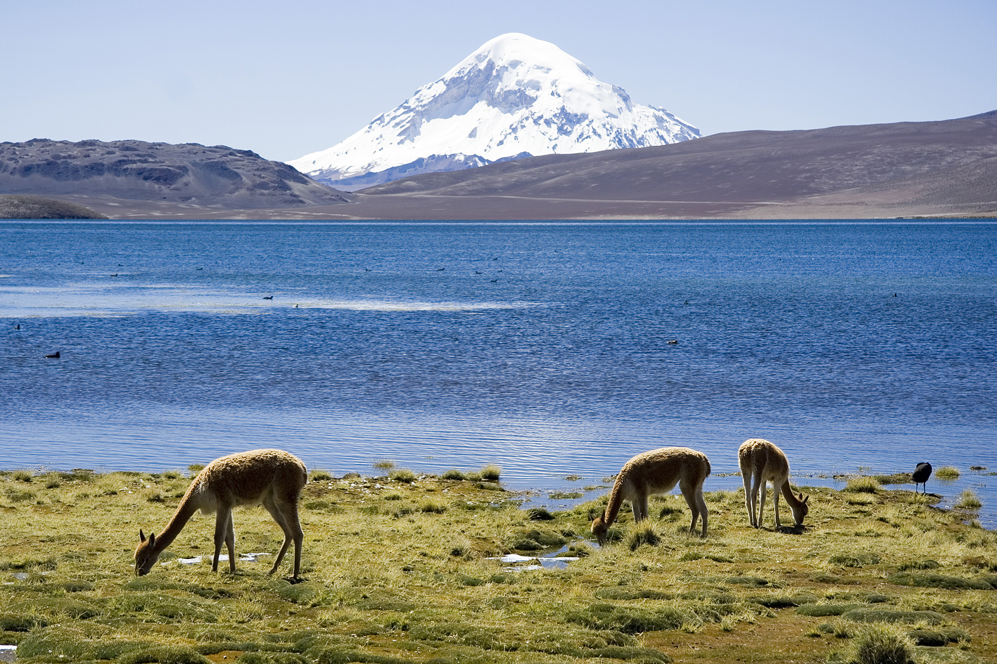 Chungara Lake and Volcan Sajama Chile Luca Galuzzi 2006