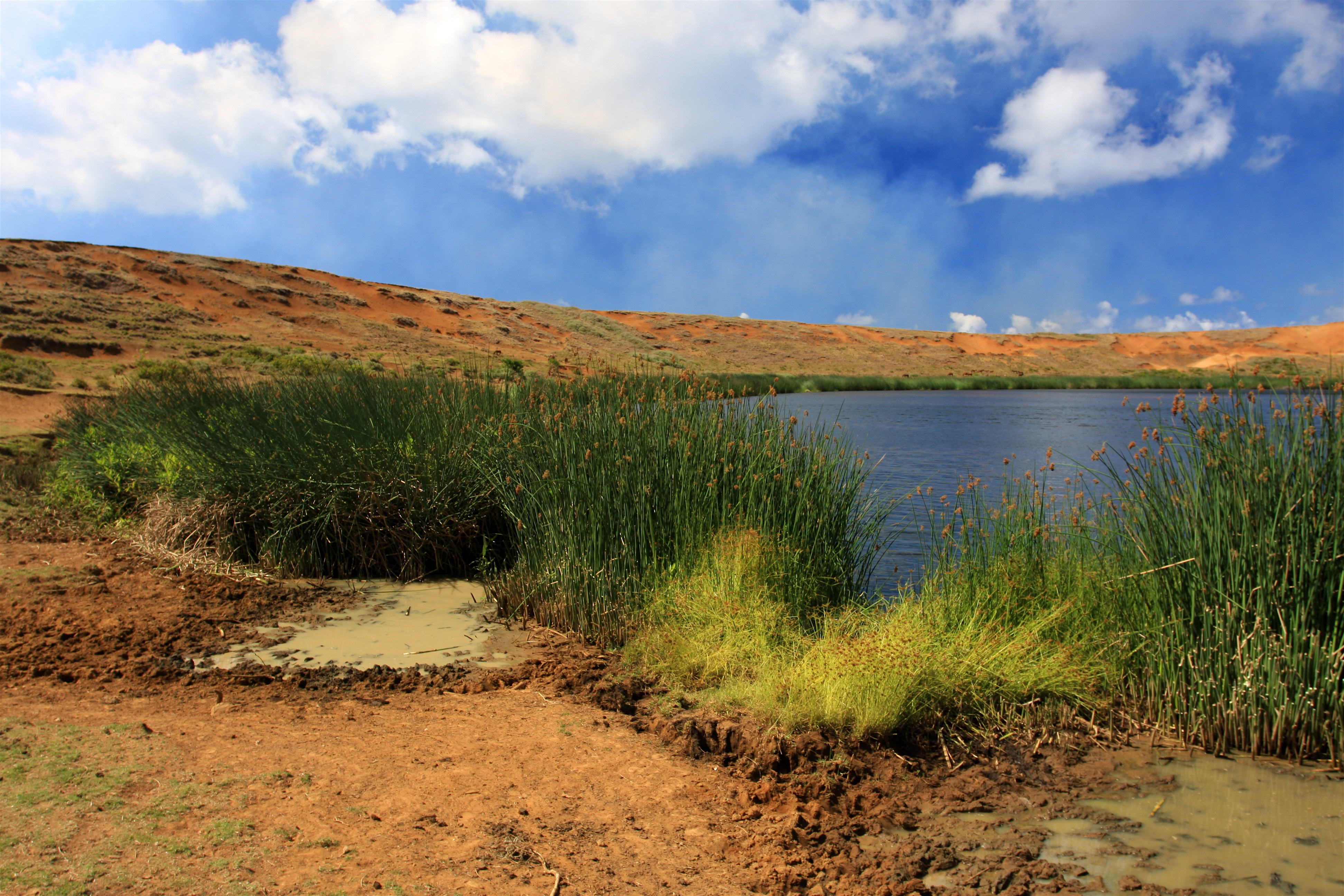 Crater Lake at Rano Raraku - Easter Island (5956404668)