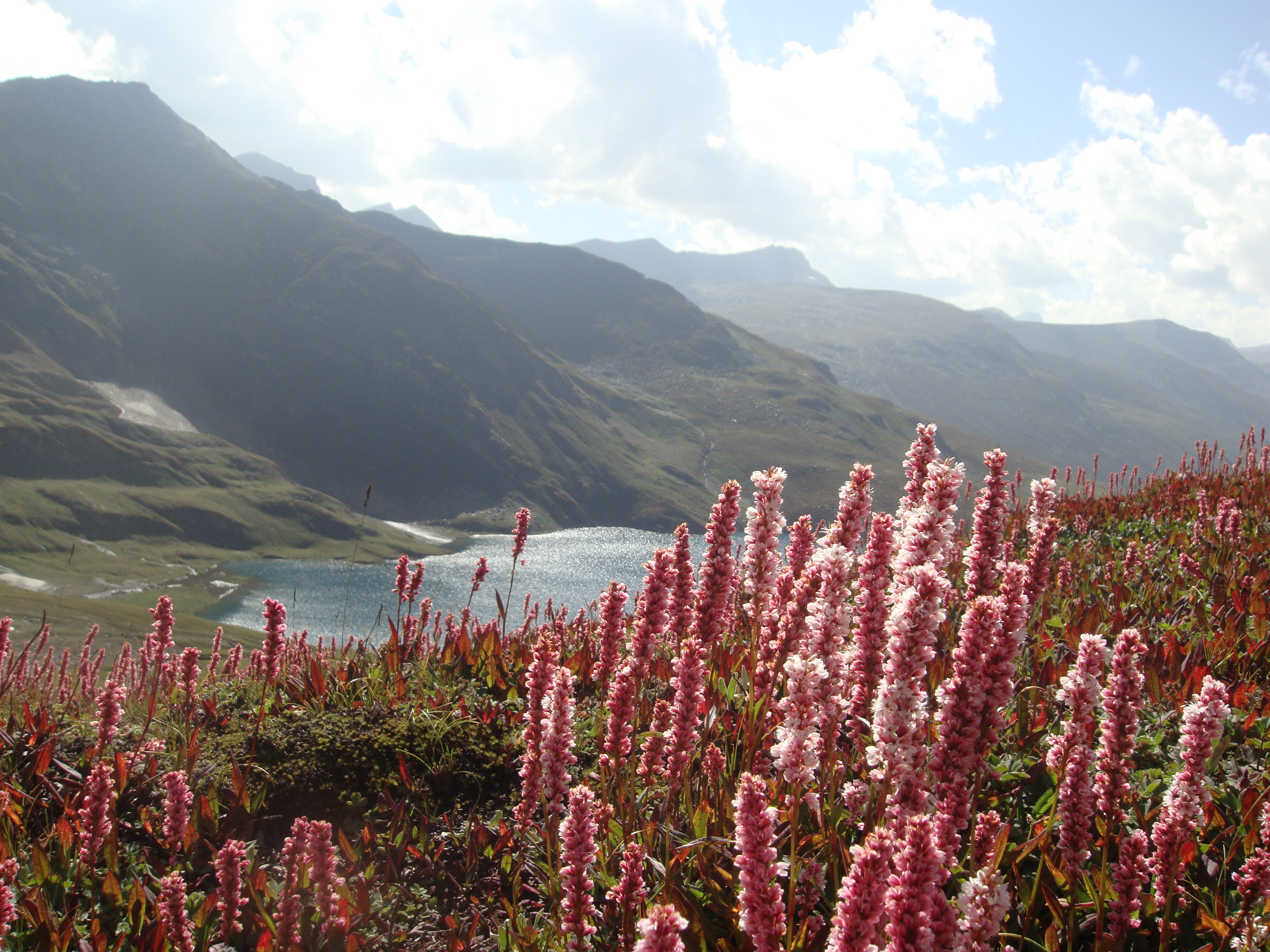 Dudipat lake far view