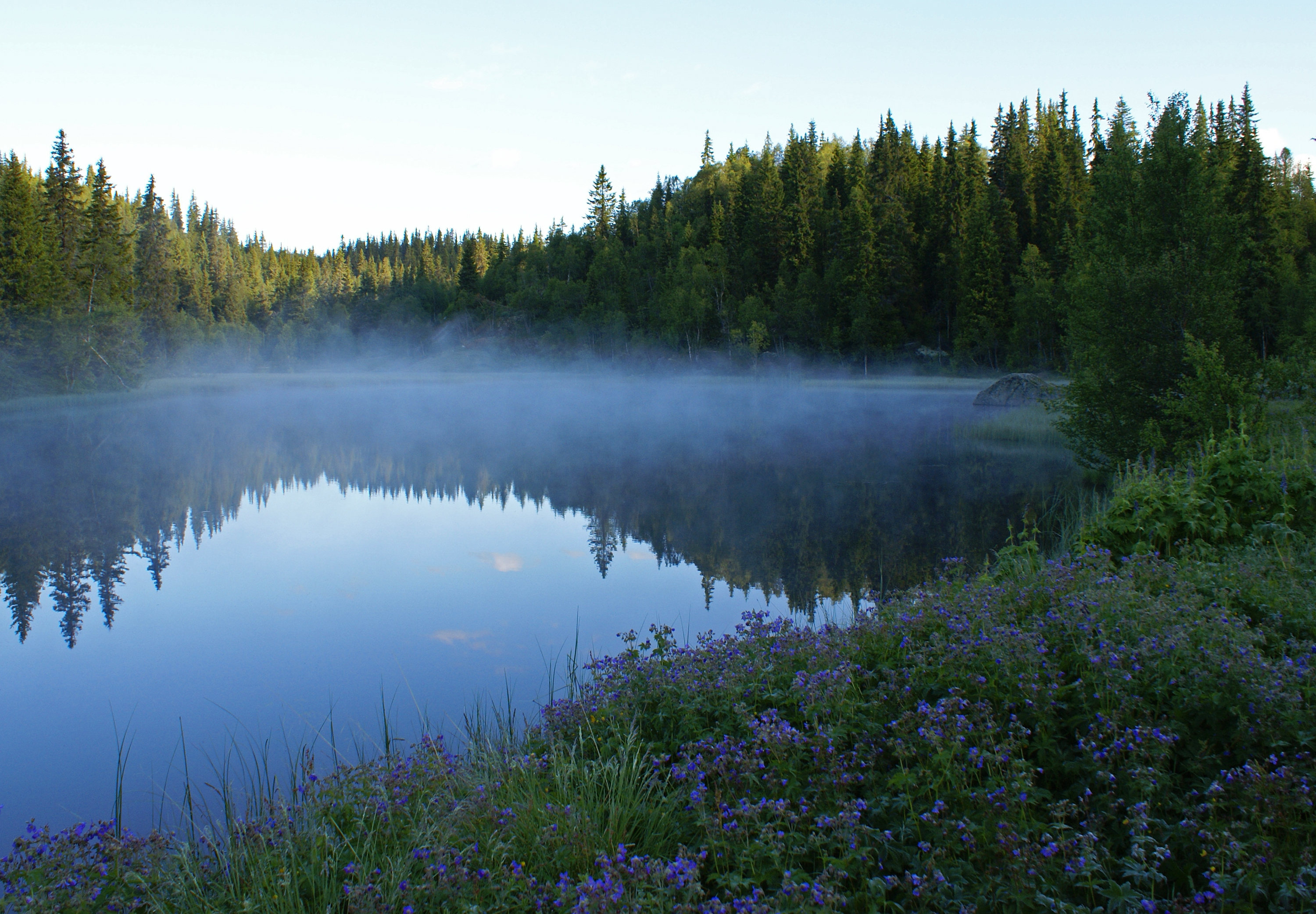 Early morning - 2 (2682016810)
