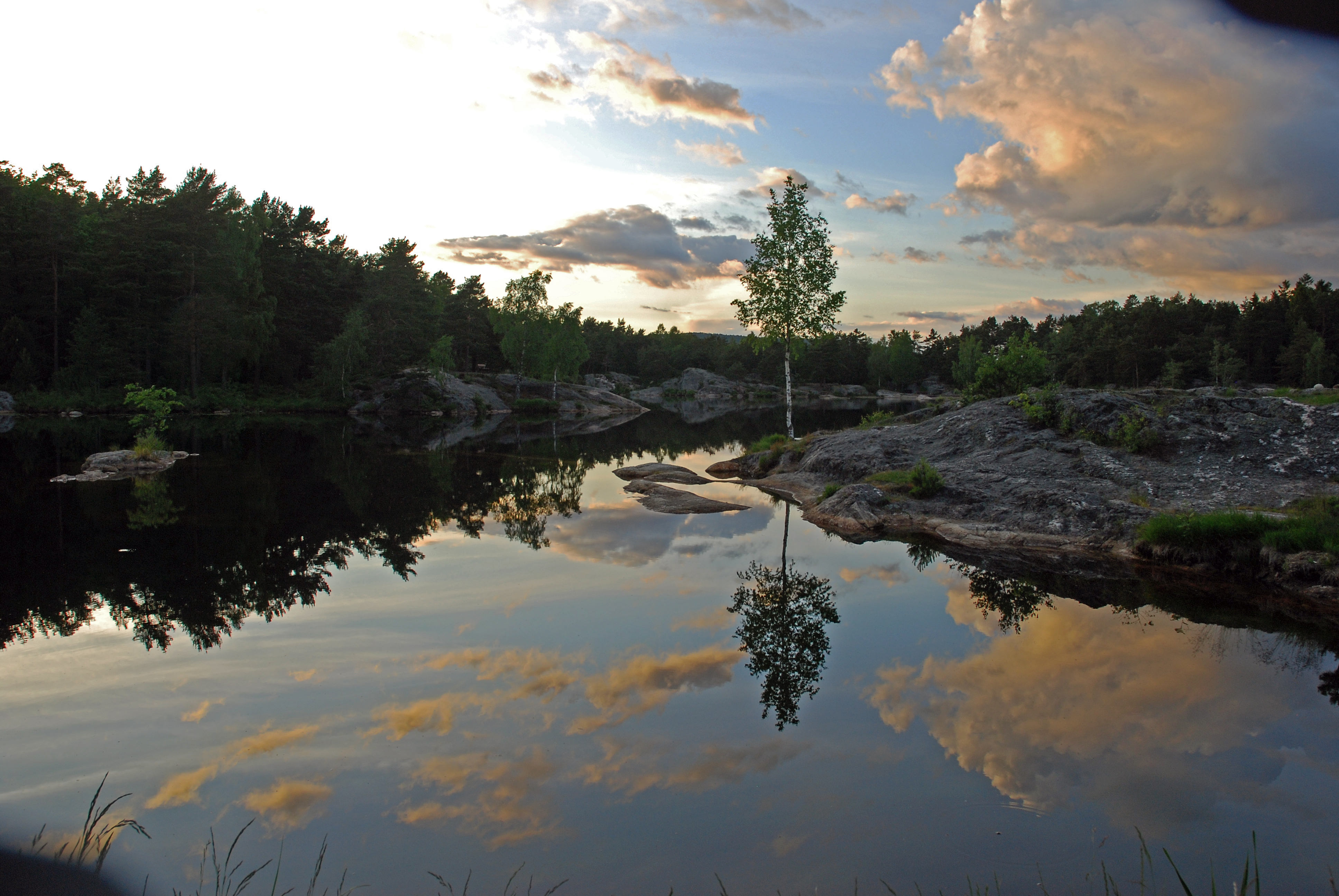 Evening (3628352969)