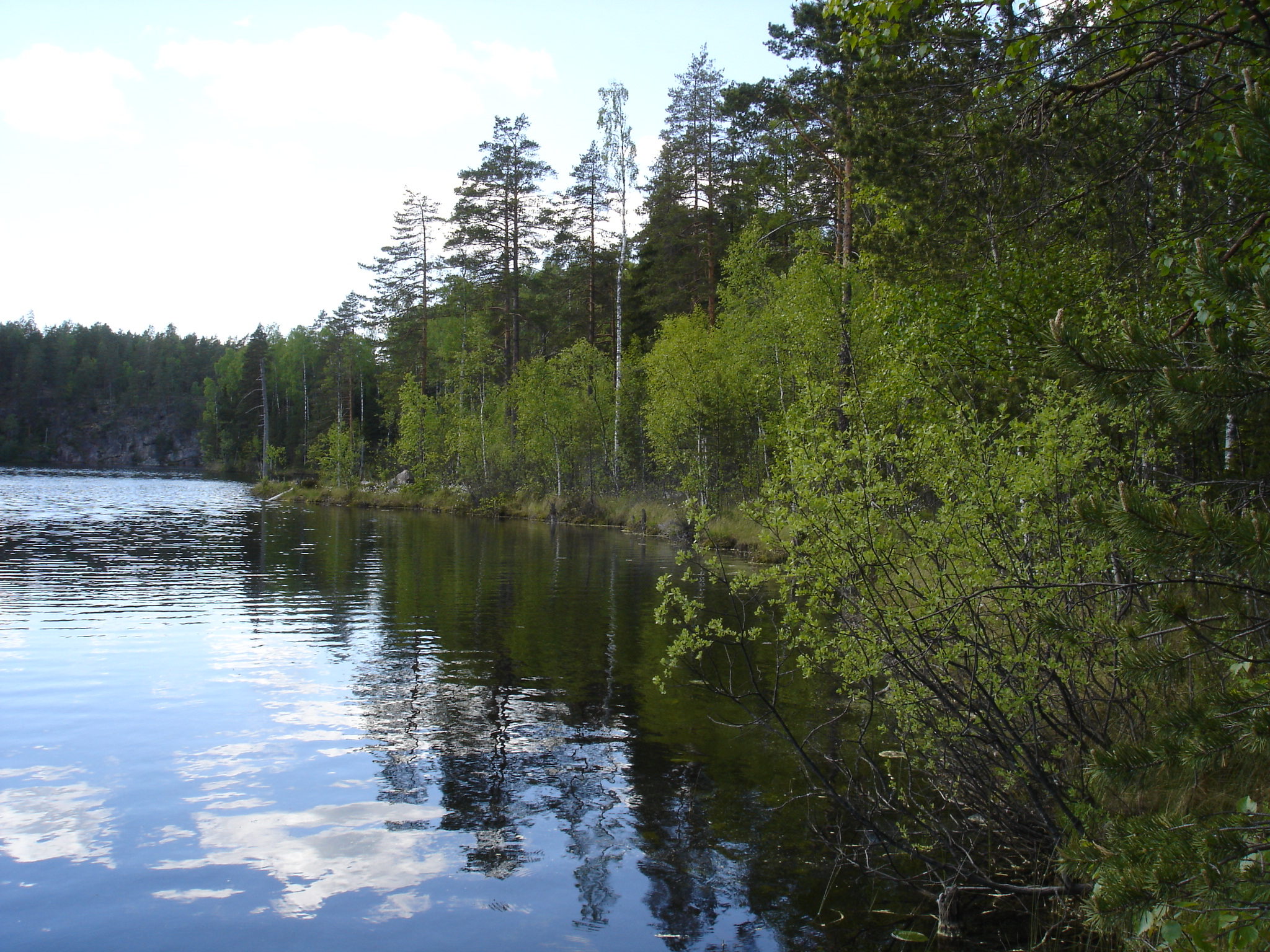 FinlandNature2008