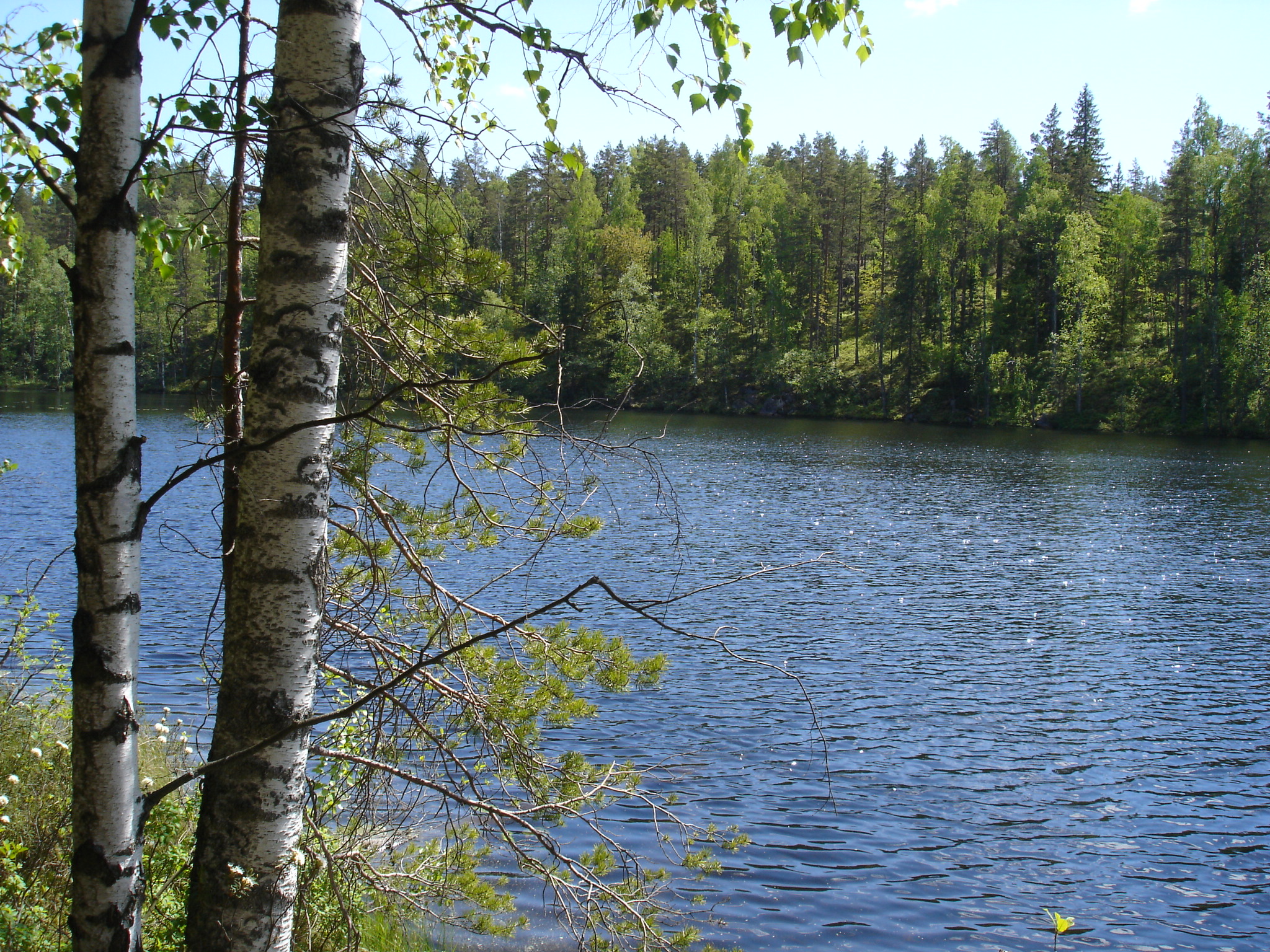 FinlandSummer2008