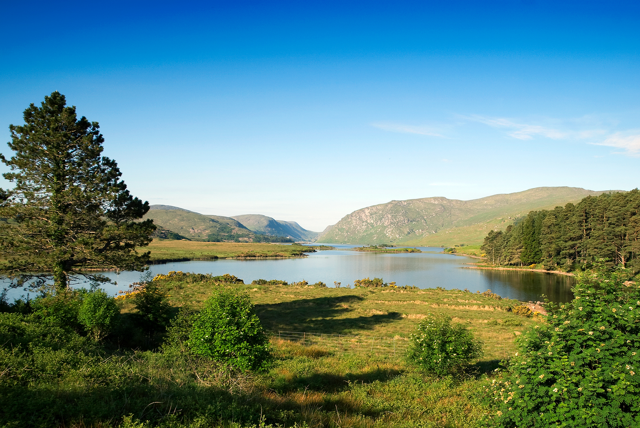 Glenveagh National Park (2579034038)