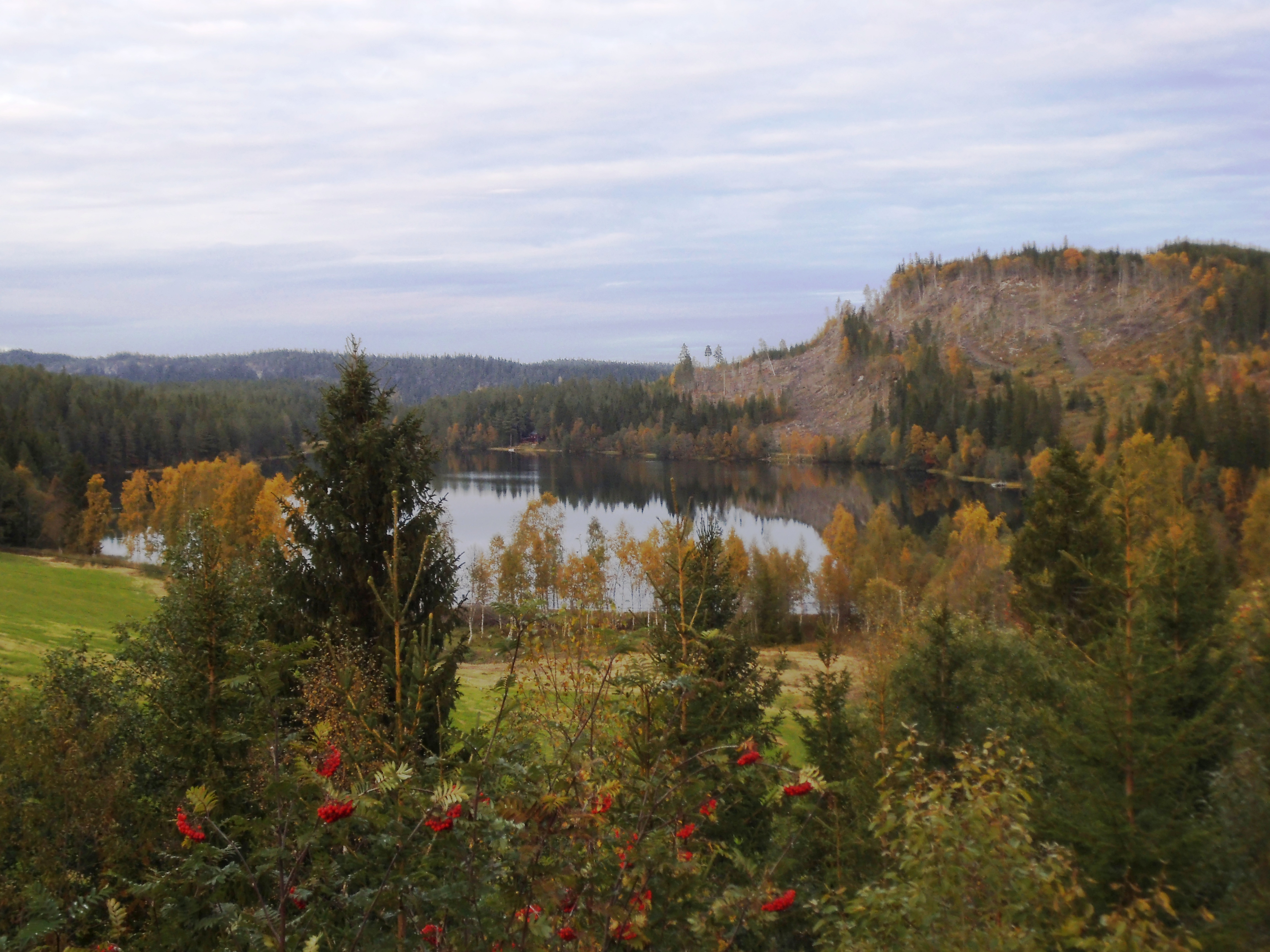 Gurisvatnet (01)