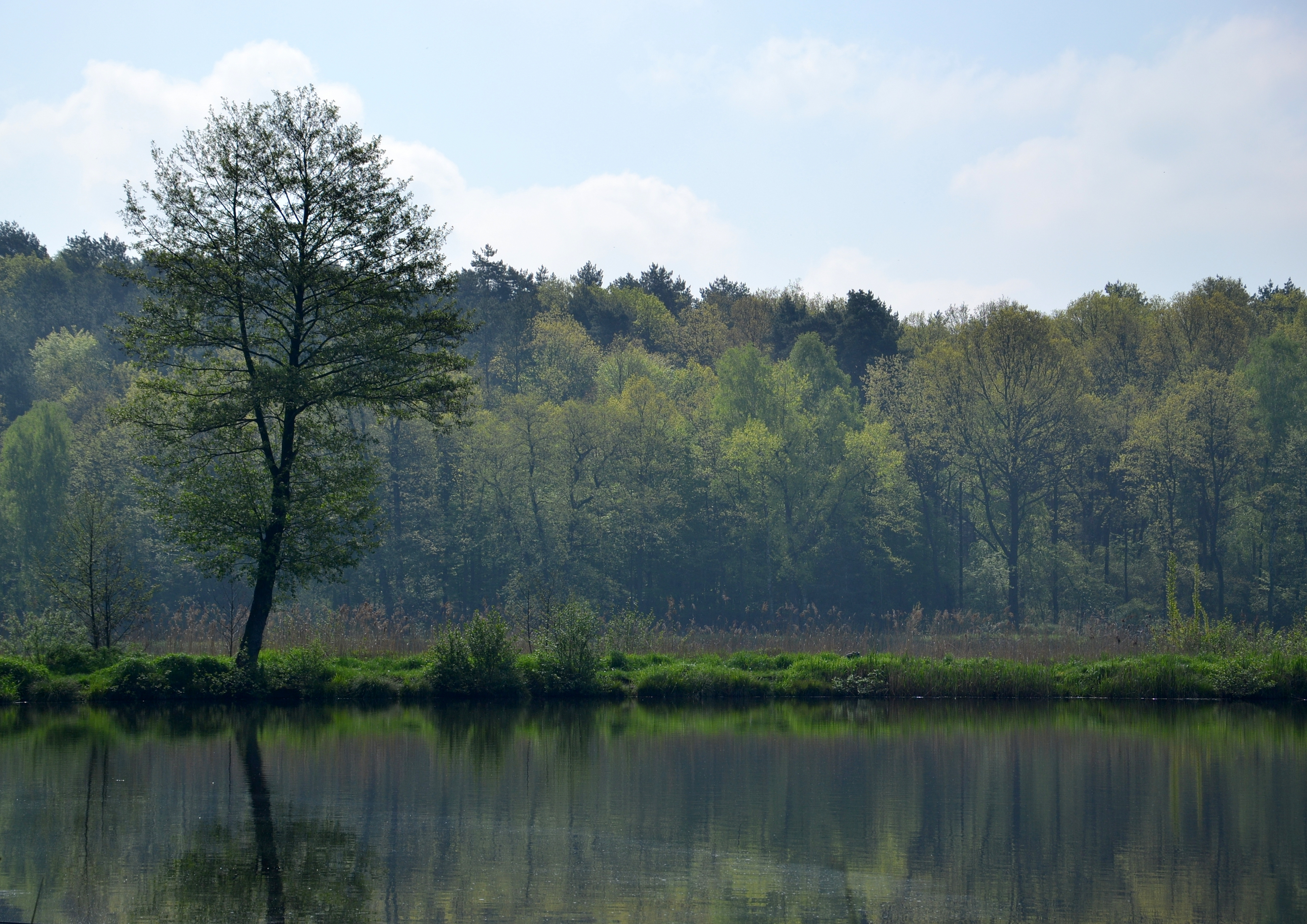 Gzel Mały lake, Rybnik 01