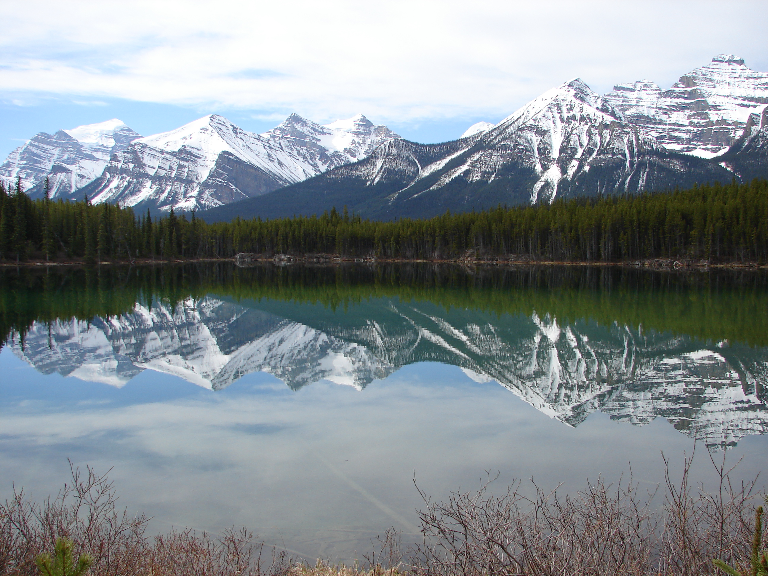 Herbert Lake (202072213)