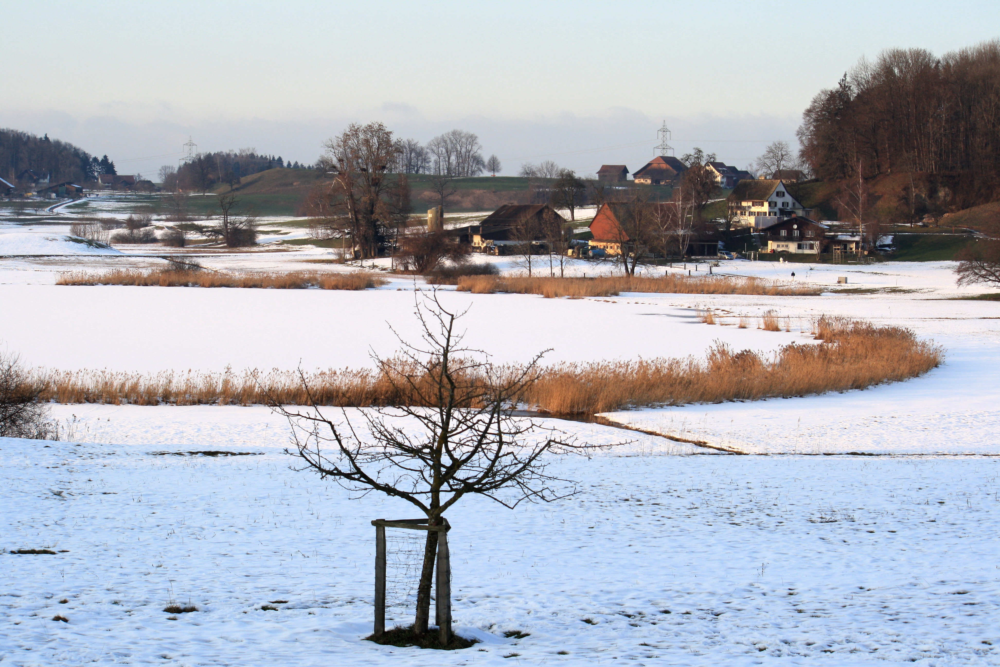 Hombrechtikon - Lützelsee IMG 7835