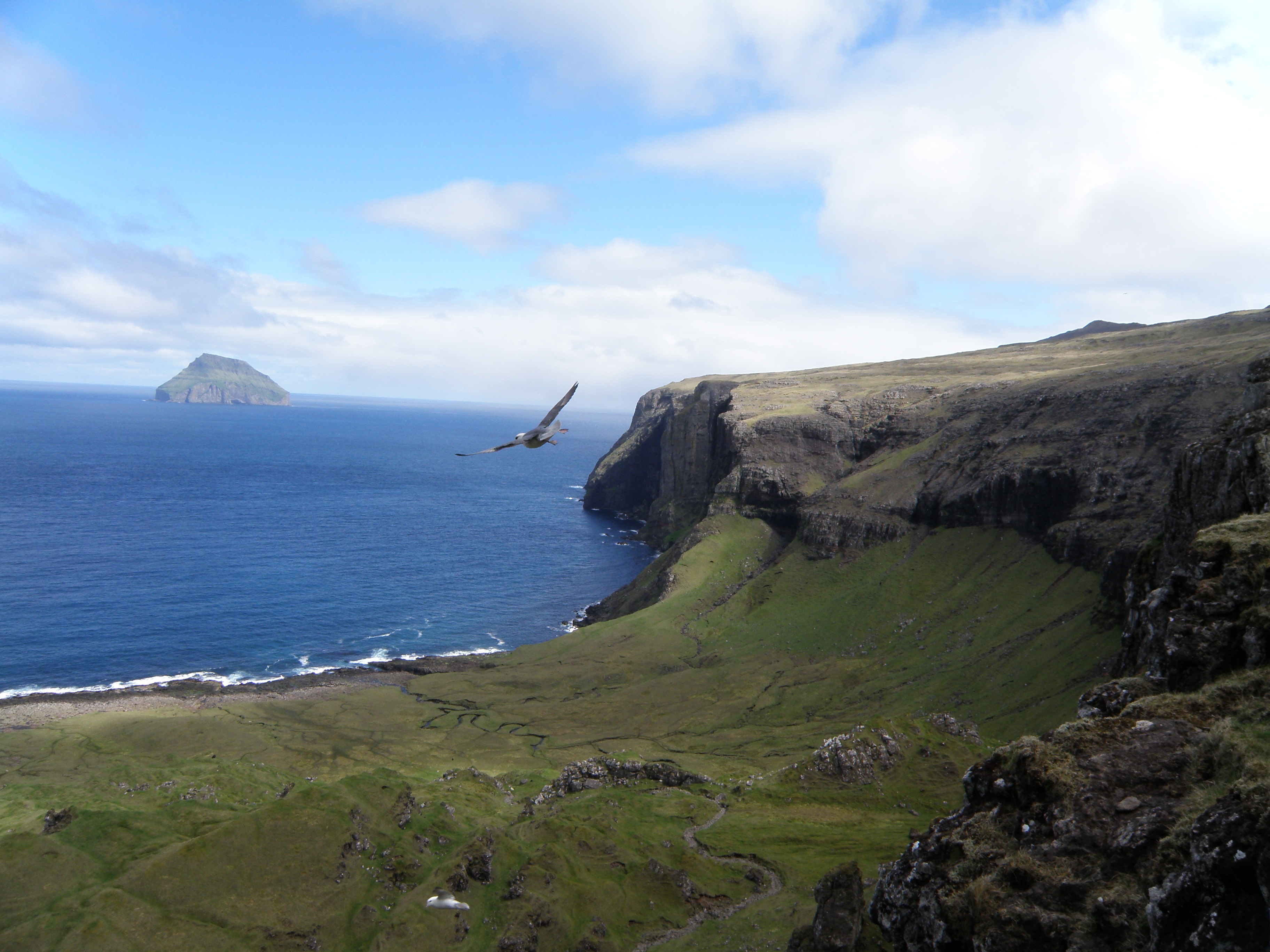 Hvannhagi and Litla Dimun Faroe Islands