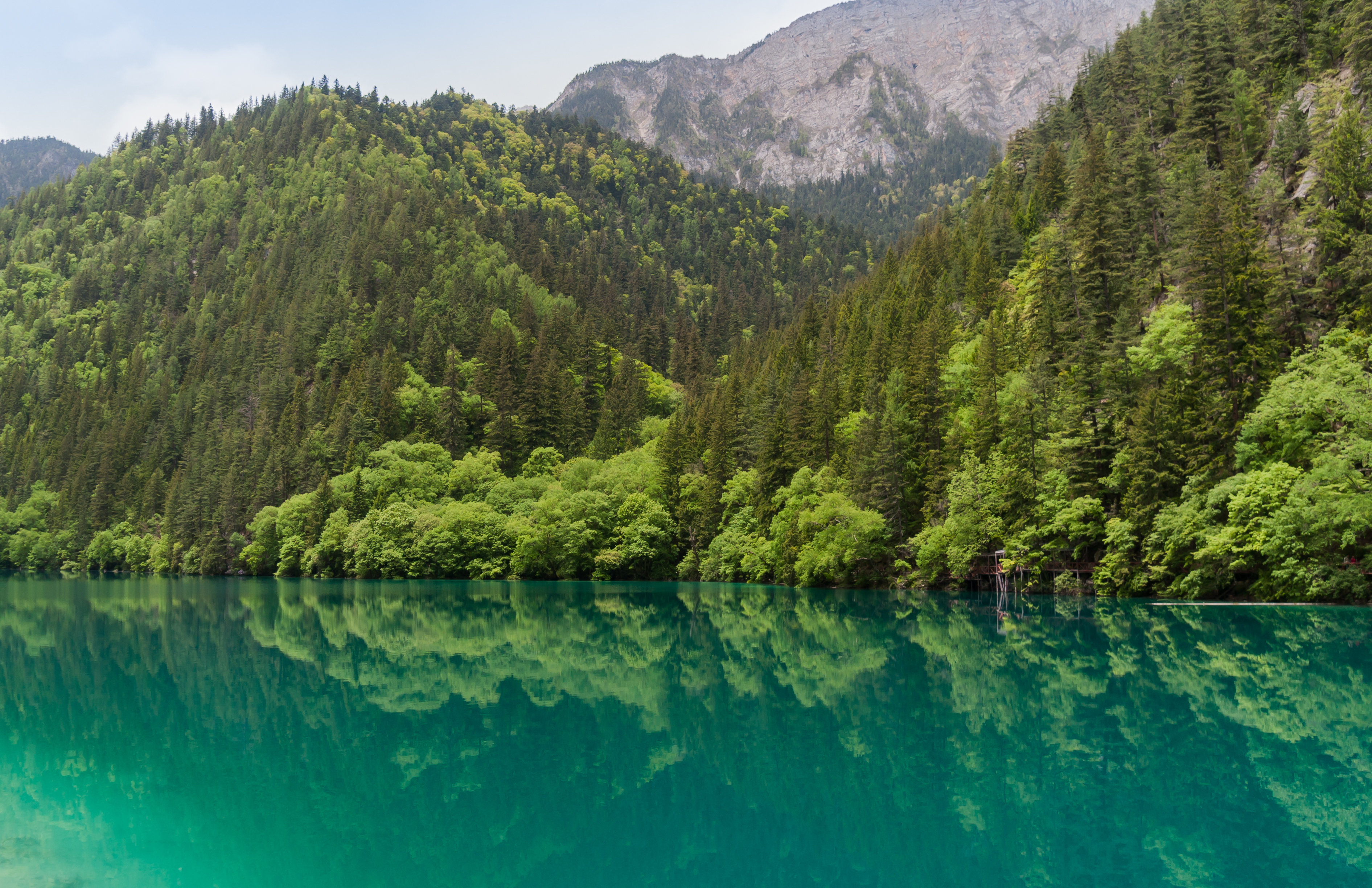 Jiuzhaigou Sichuan China Panda-Lake-02